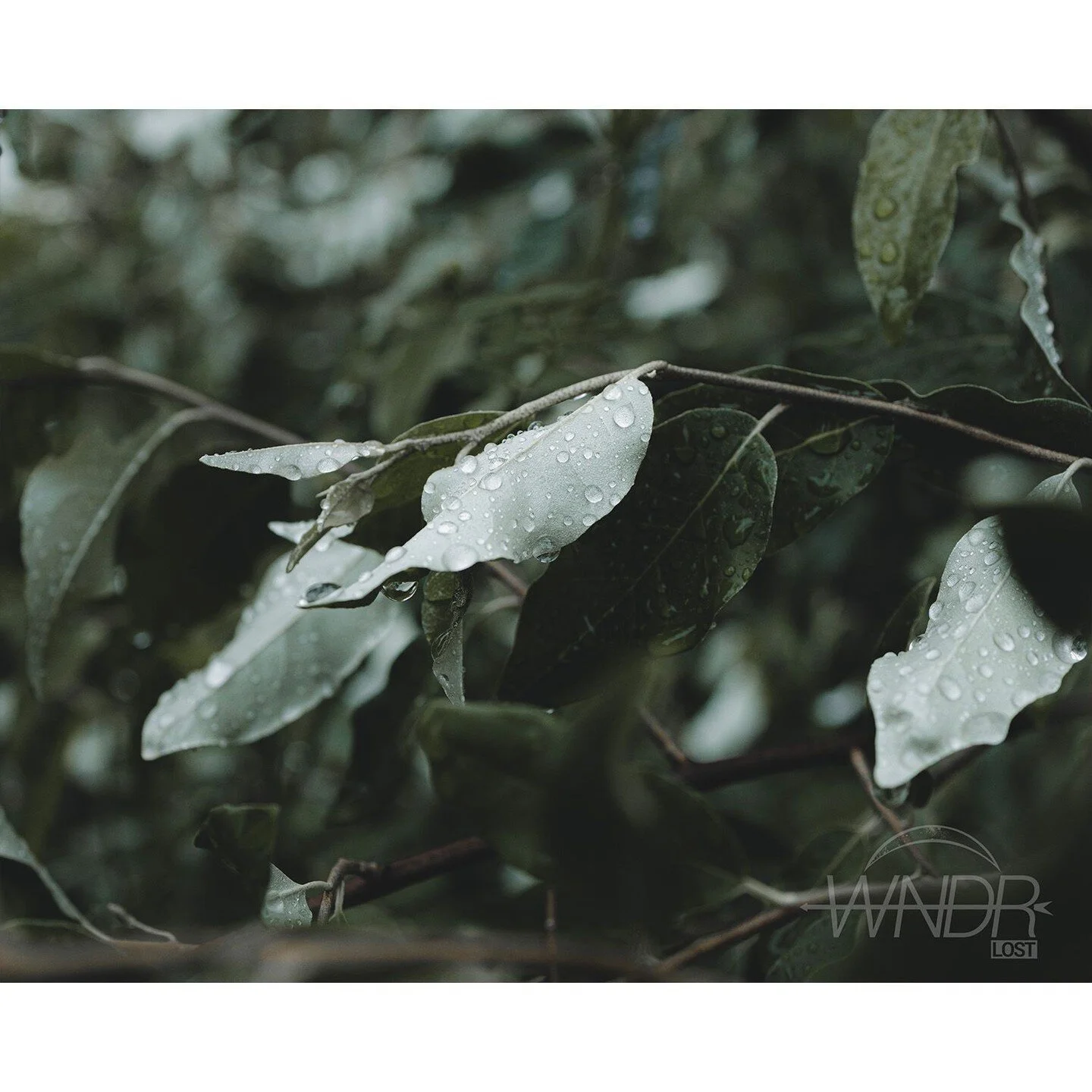 Now whenever I try to be clear with you, I only end up feeling see-through.