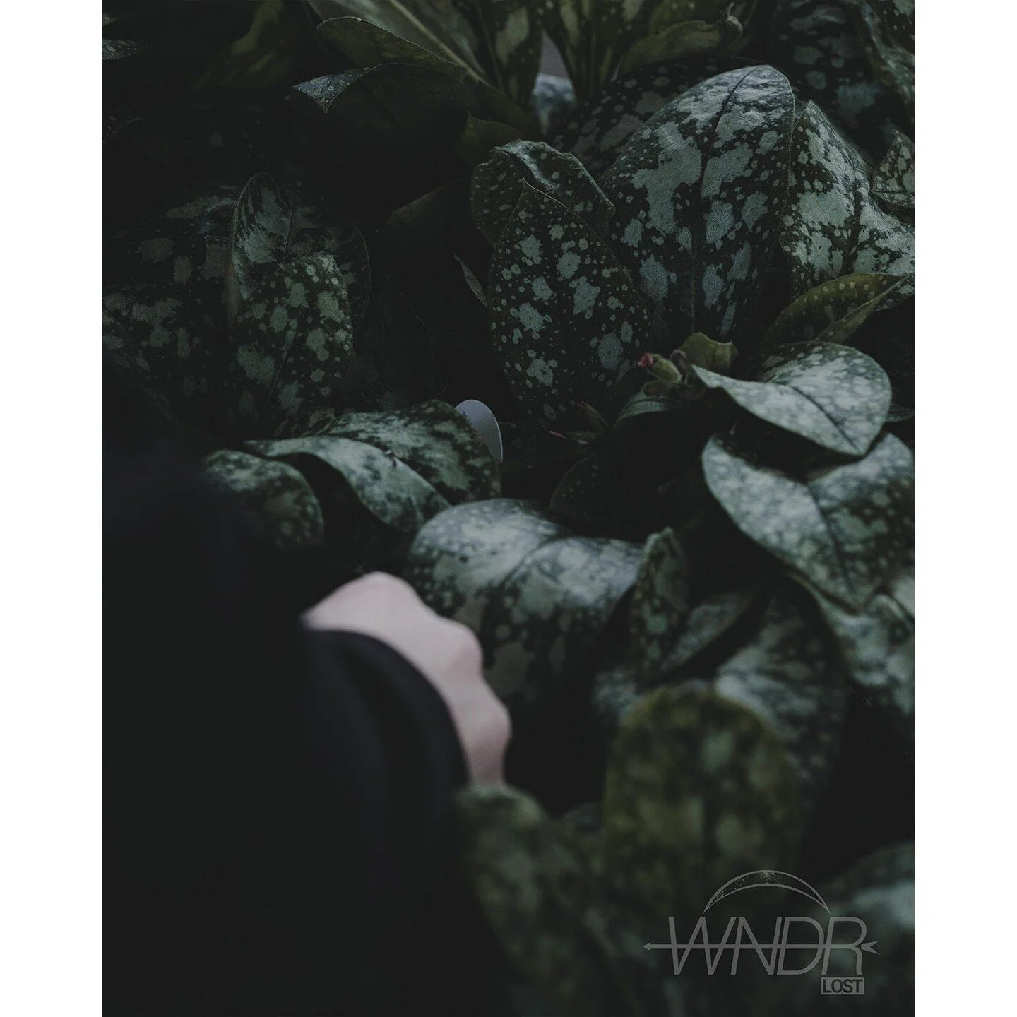 Weightlessness, no gravity. Were we somewhere in-between?