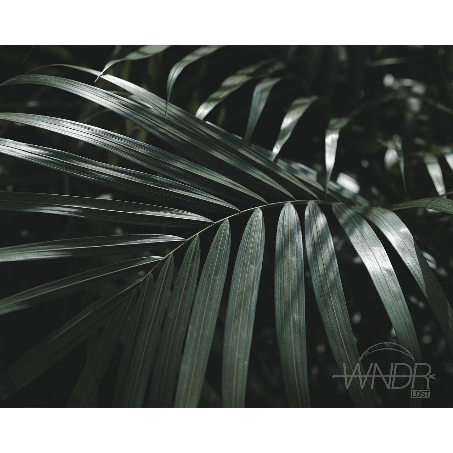 How do I control my own subconscious? Baby, I don&rsquo;t wanna know, I wanna block it.