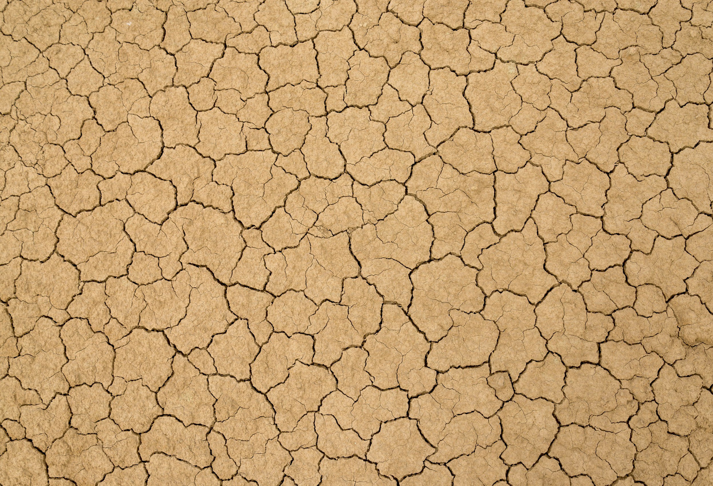 The Humanitarian Reset Isn’t Coming - It’s Already Here
