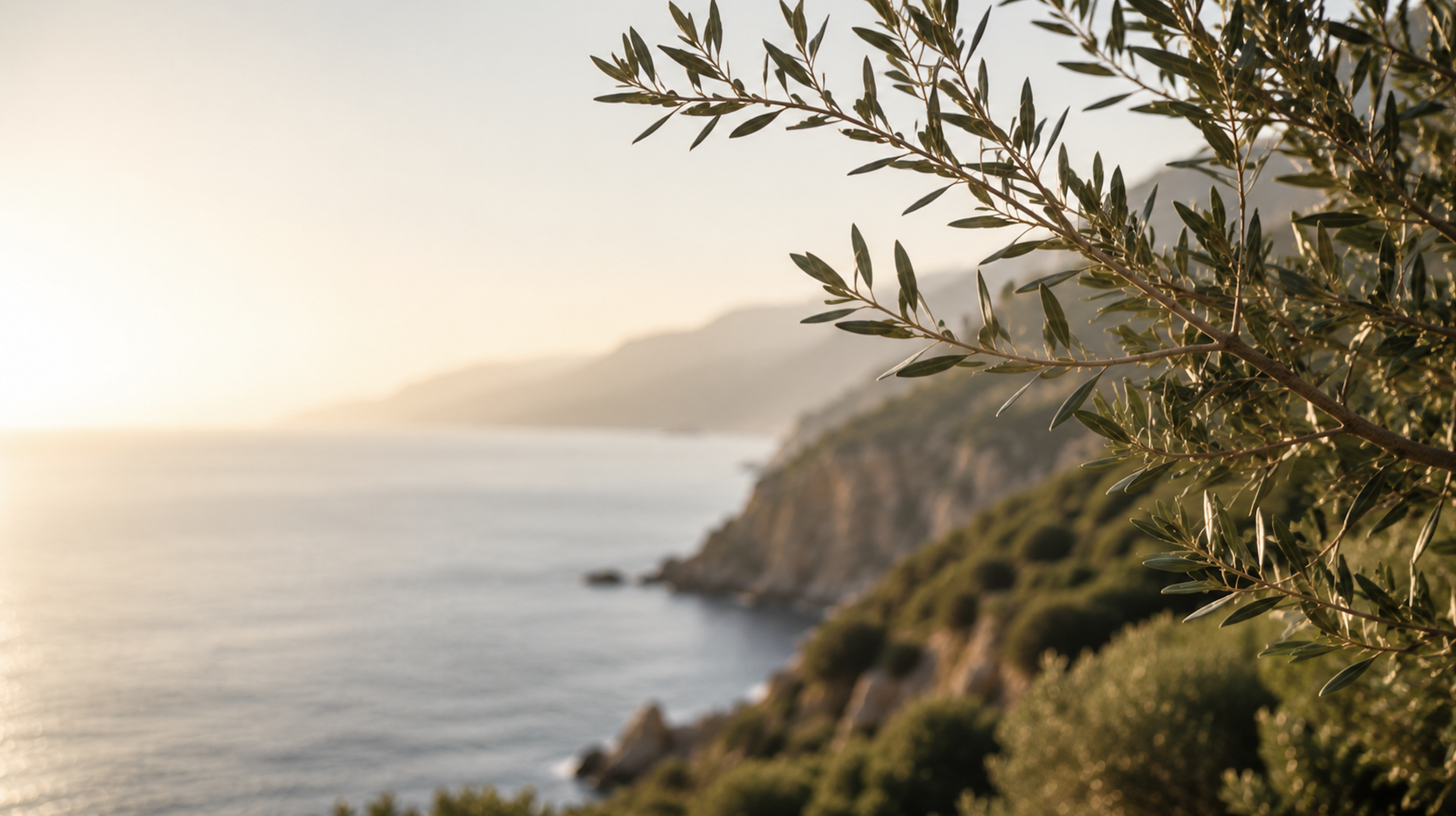 Close-up of green tree leaves with a coastal landscape in the background, including a cliff and ocean, during sunset or sunrise.