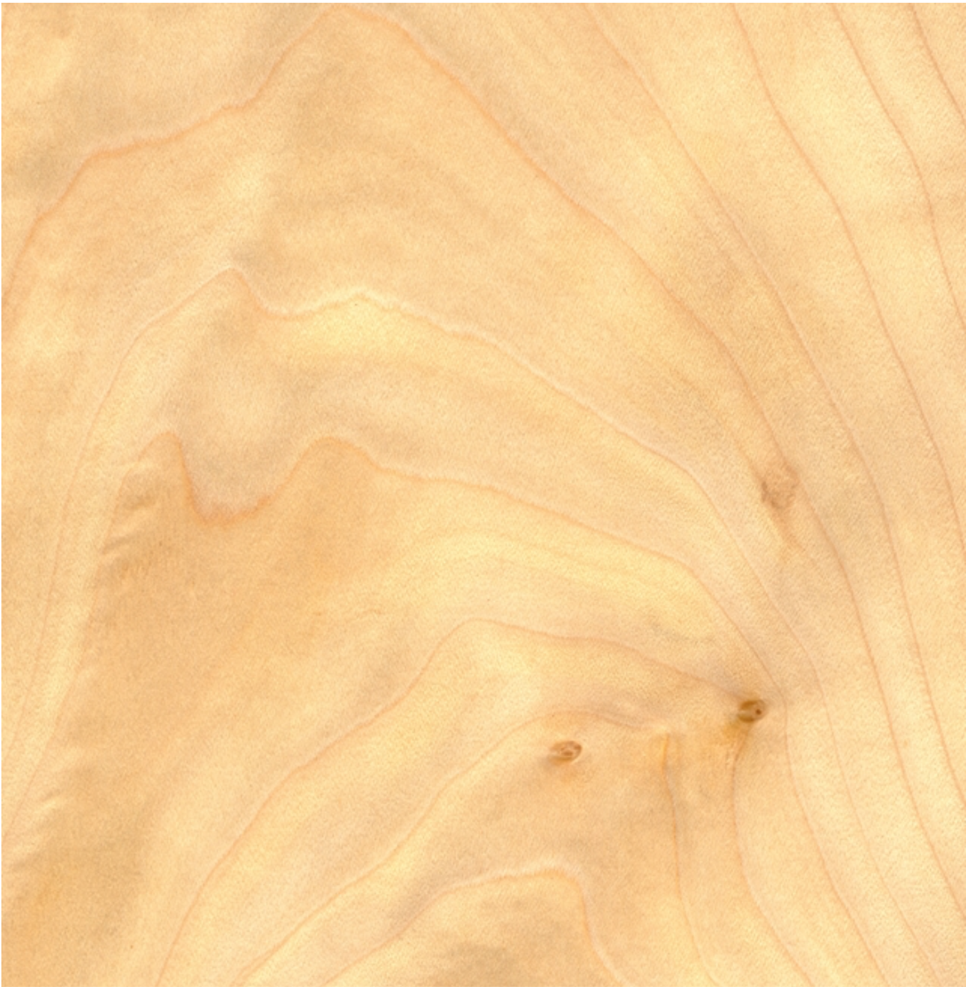 Screen Shot 2020-01-30 at 9.23.57 AM.png