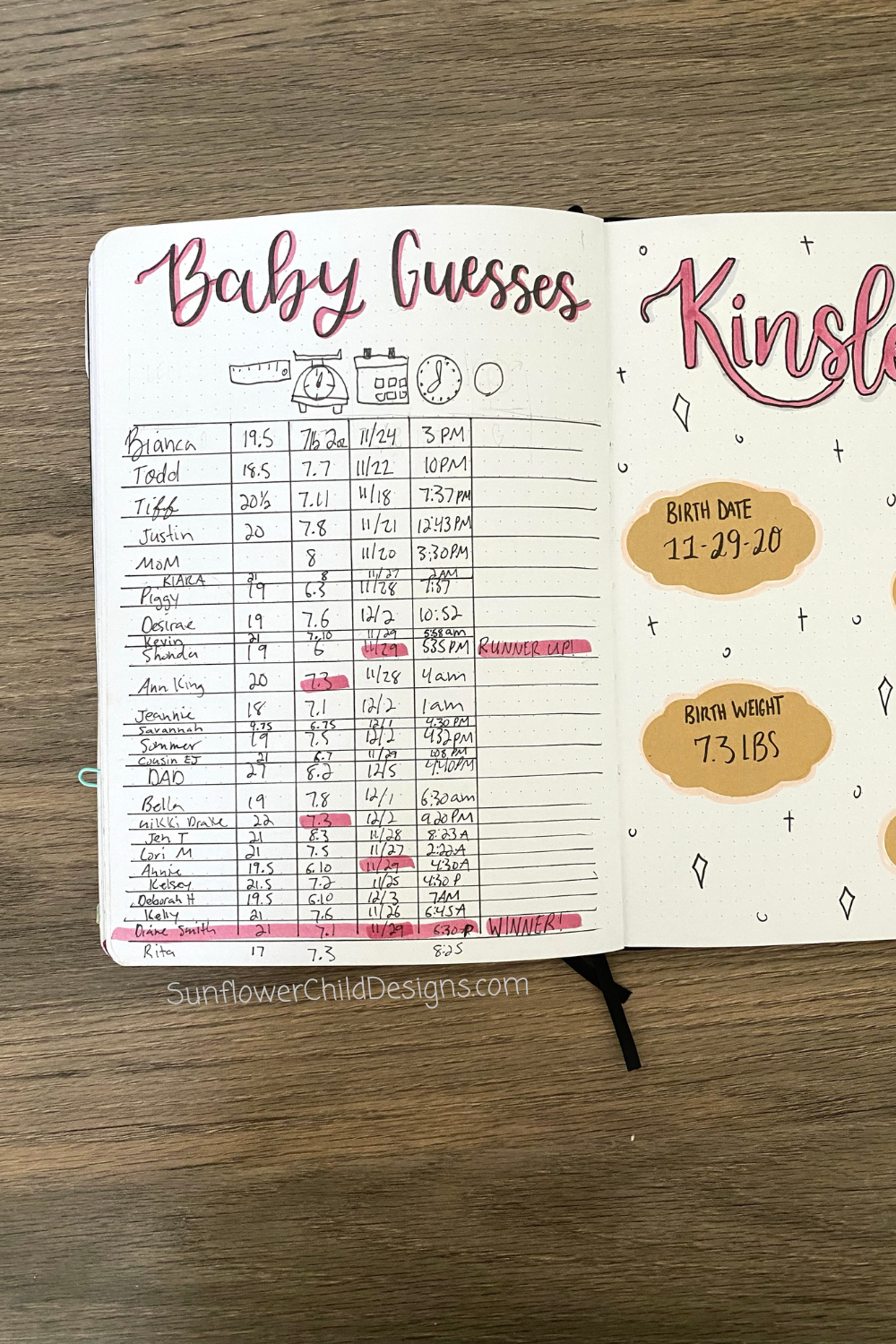 Pregnancy Journal Baby Guesses