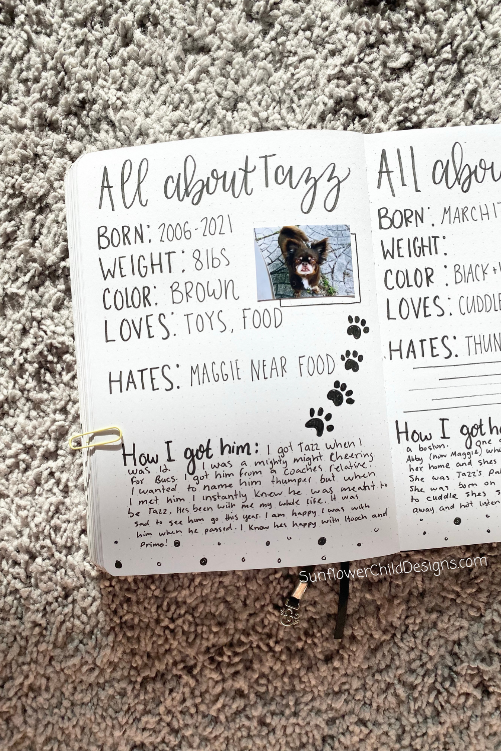 Dog Bullet Journal Ideas