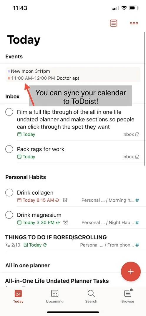 ToDoist-Template-Demo-3.jpg