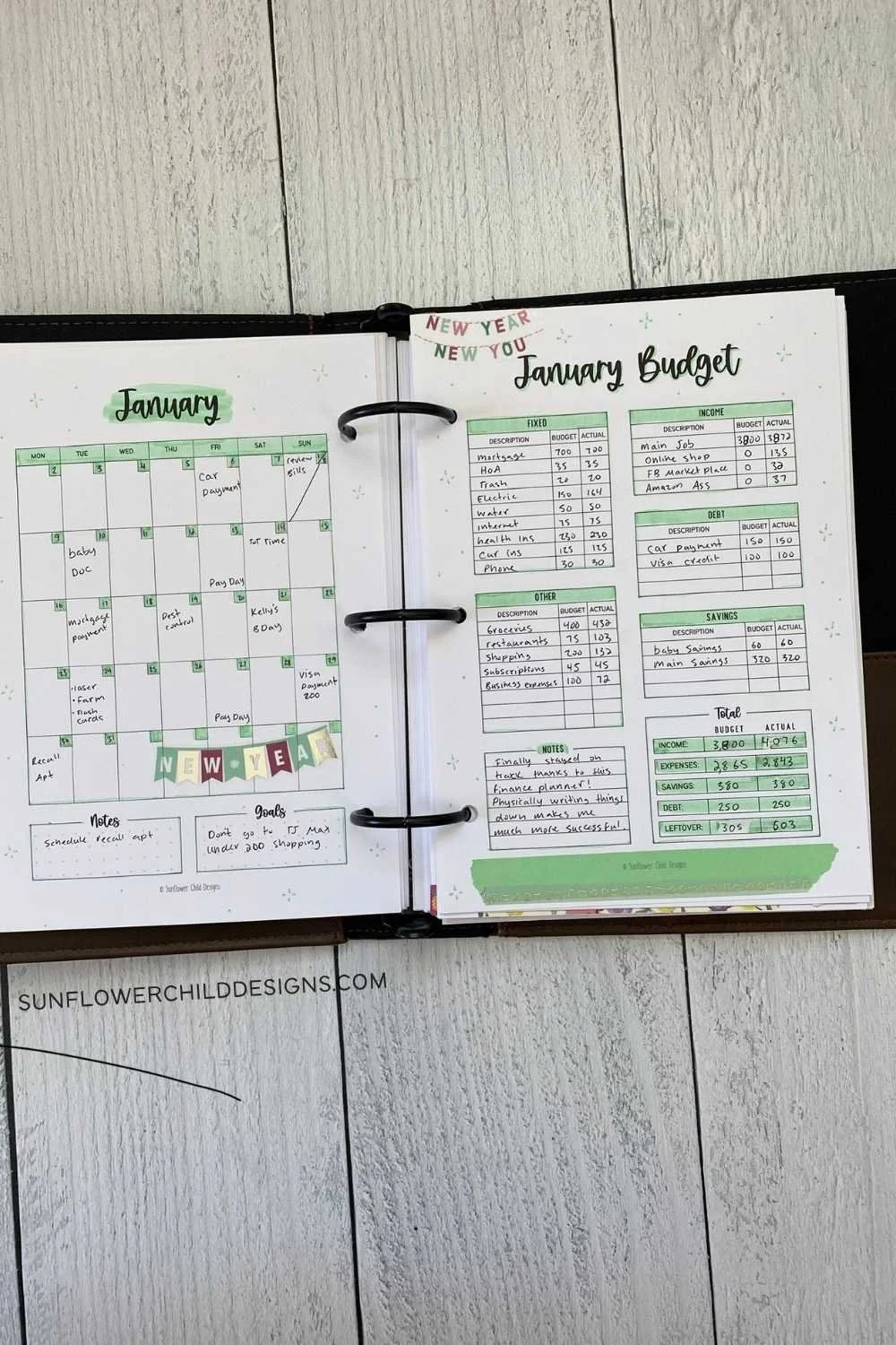 January Finance Planner Demo