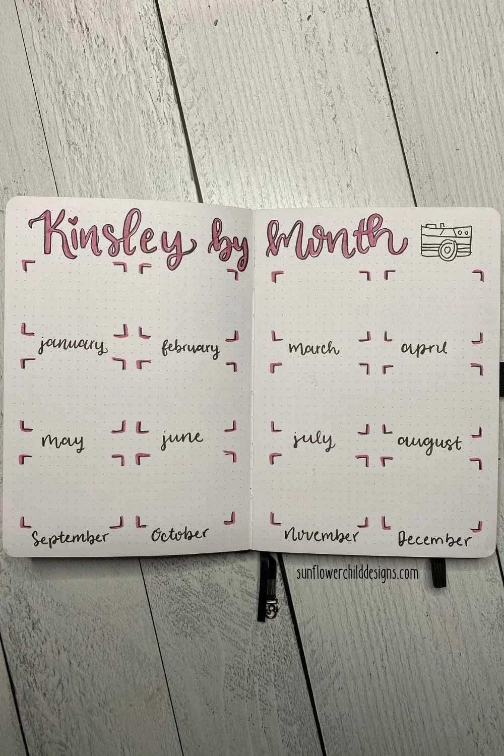 picture each month boxes