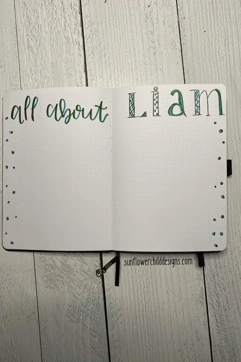 all about liam memory page