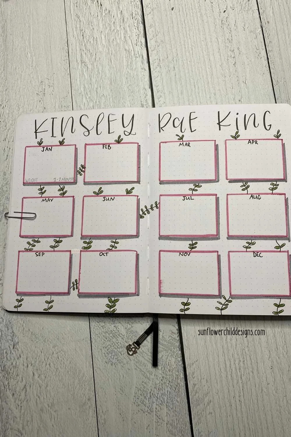 baby monthly updates pink and green