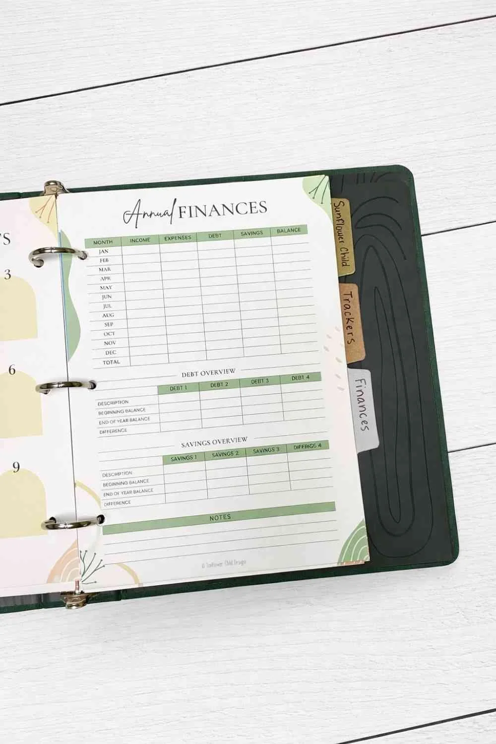 annual finances page
