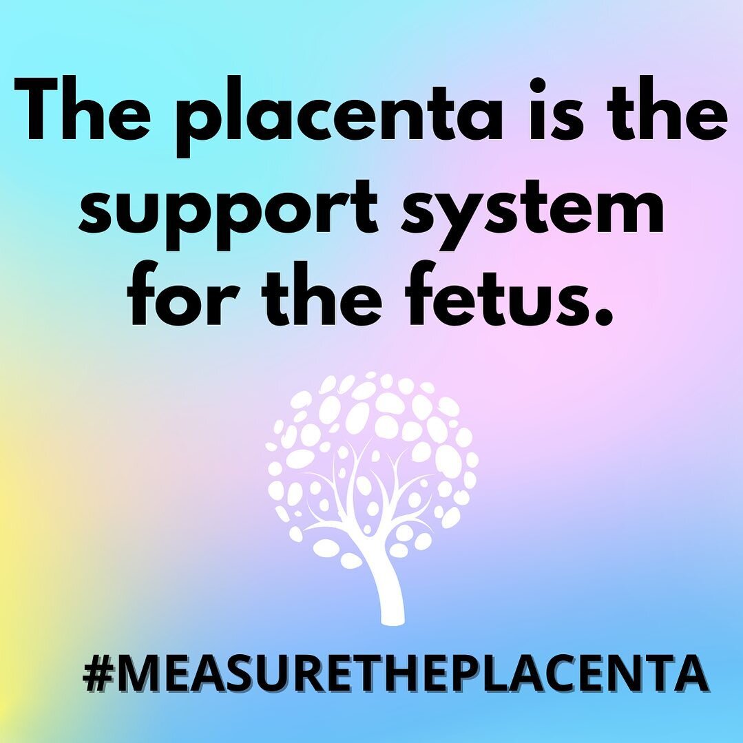 The placenta is the support system for the fetus. It&rsquo;s responsible for sustaining and maintaining the life of that embryo and fetus, throughout that pregnancy. This is why the size of the placenta is important to pay attention to as it is respo