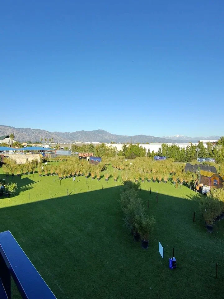 Journey to Bethlehem starts TONIGHT!!! The field will be lit up with thousands of lights. 6:00 - 9:00 every evening this weekend. Sign up for your tour by 8:15.