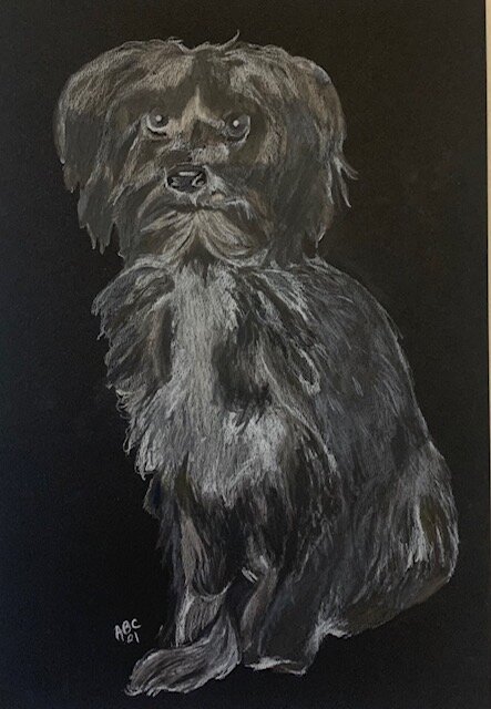 Commissioned Drawing -Color pencils- 2021