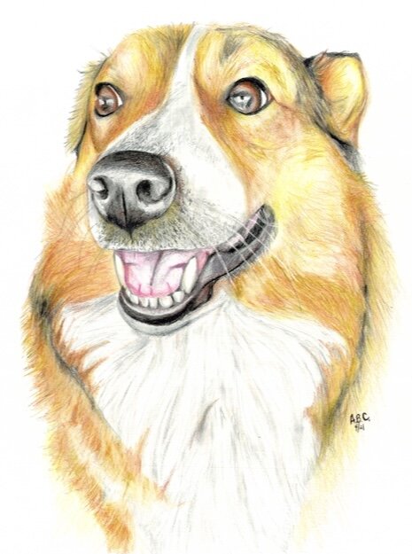 Commissioned Drawing -Color pencils- 2021