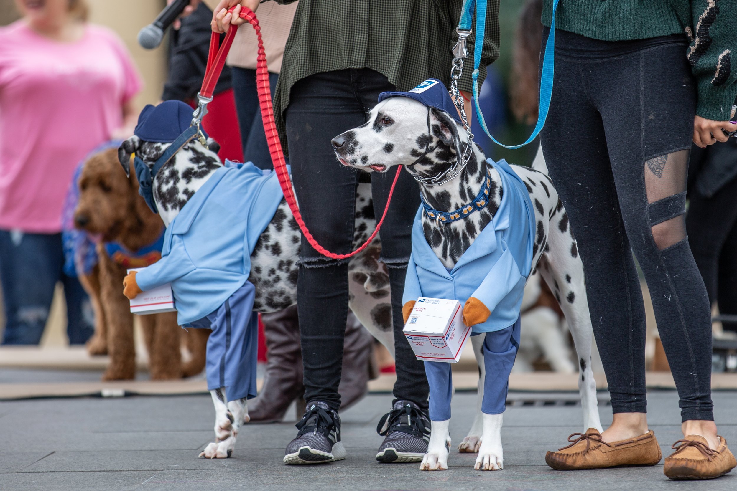 Take your doggy trick or treating at the Bark Bash at the Heritage