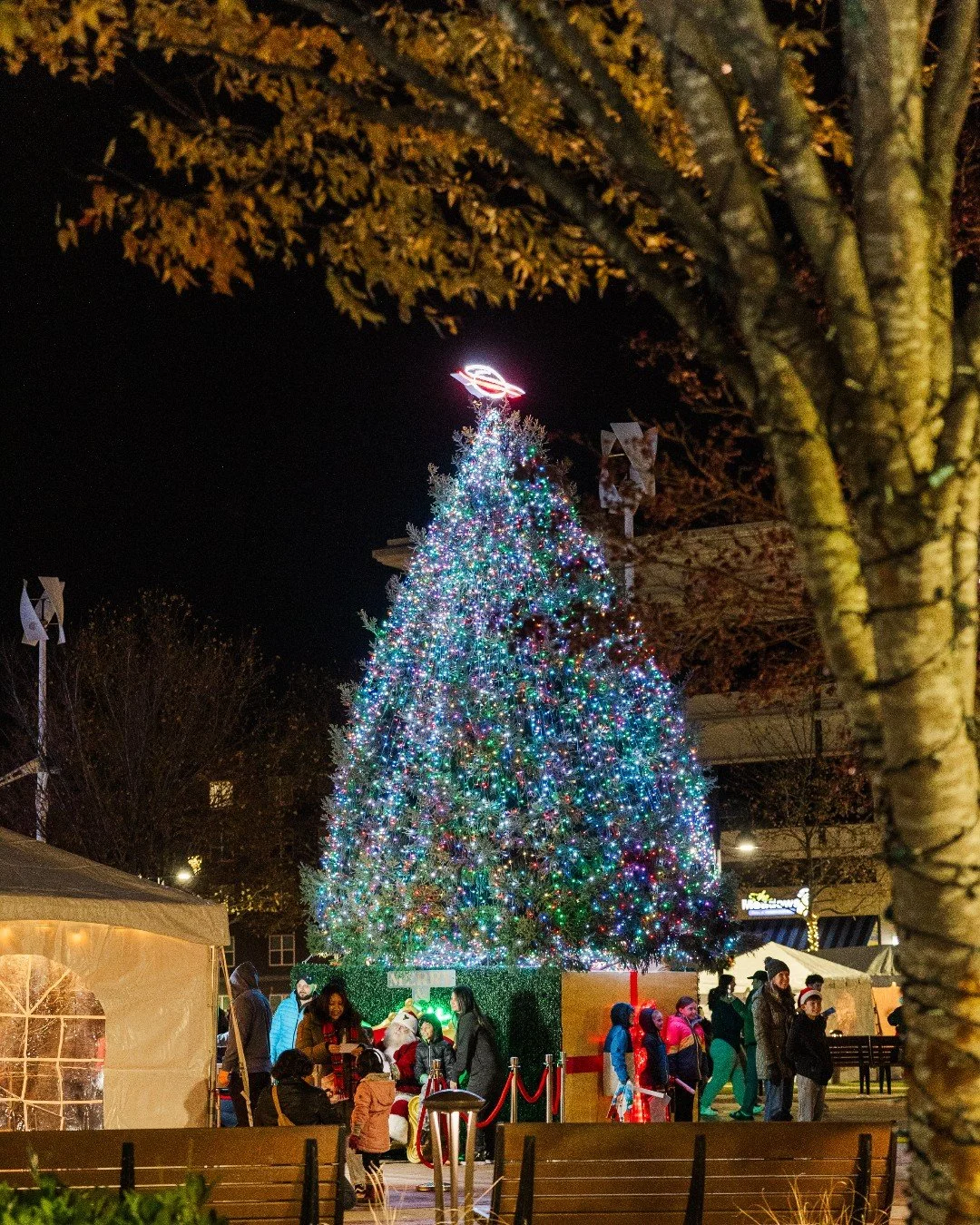 If you're planning your visit to the Holiday Tree Lighting, consider this your cheat sheet.

The Tree Trail is packed with festive stops, from warm treats, gifting deals, family activities, and community partners who make the night feel special.

Cli