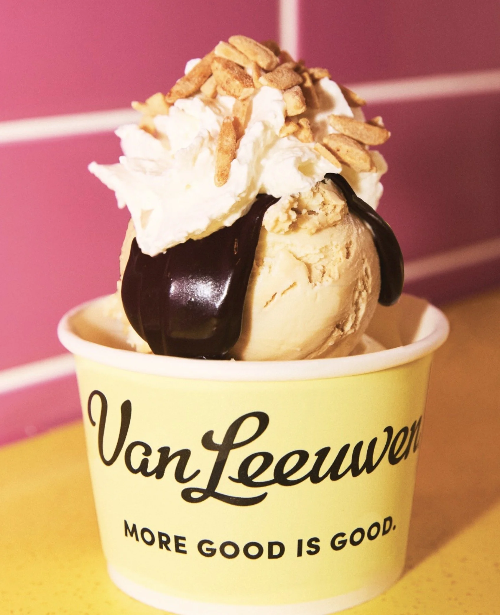  Van Leeuwen  Now Open 