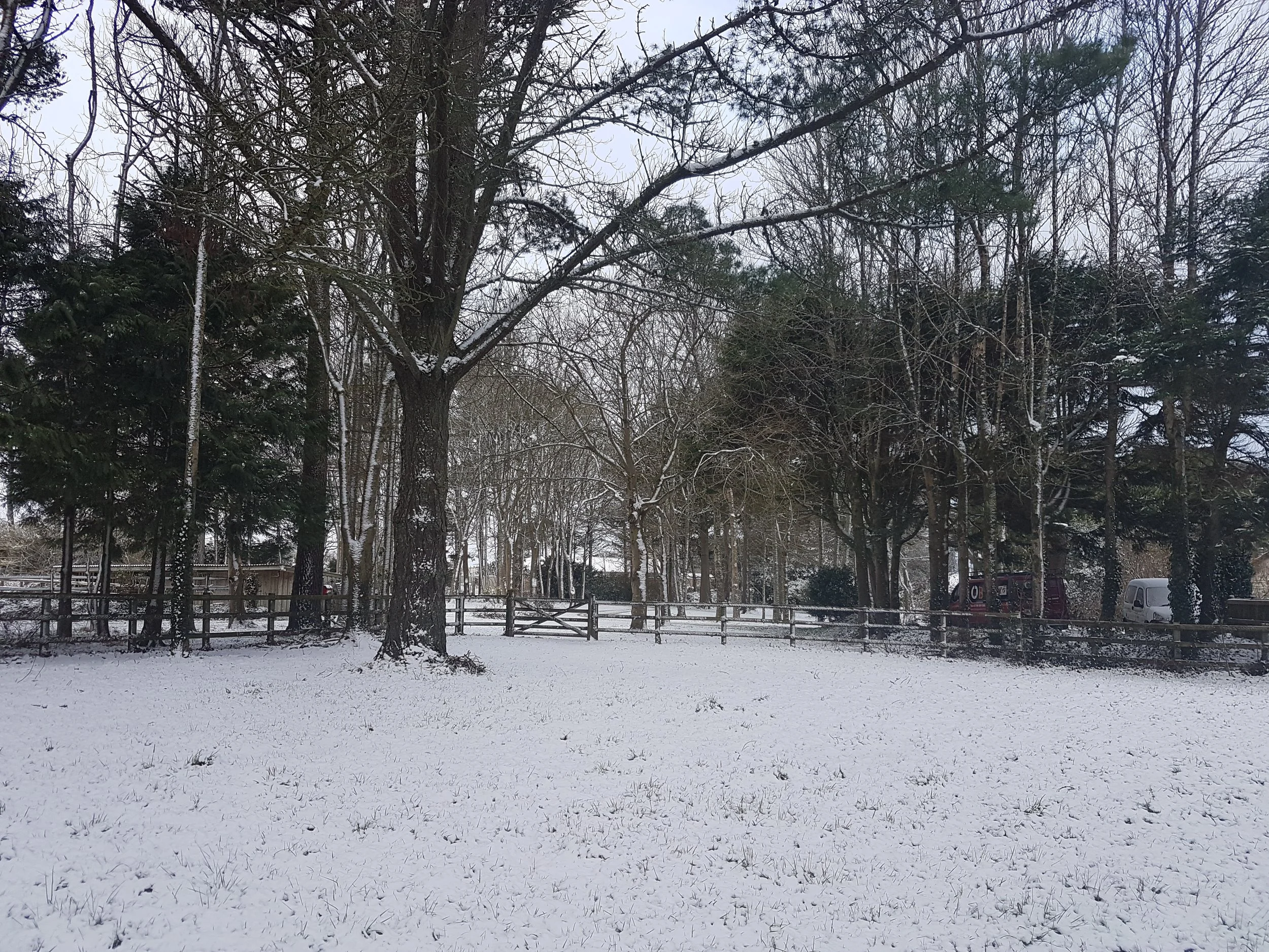 20180319_080437.jpg