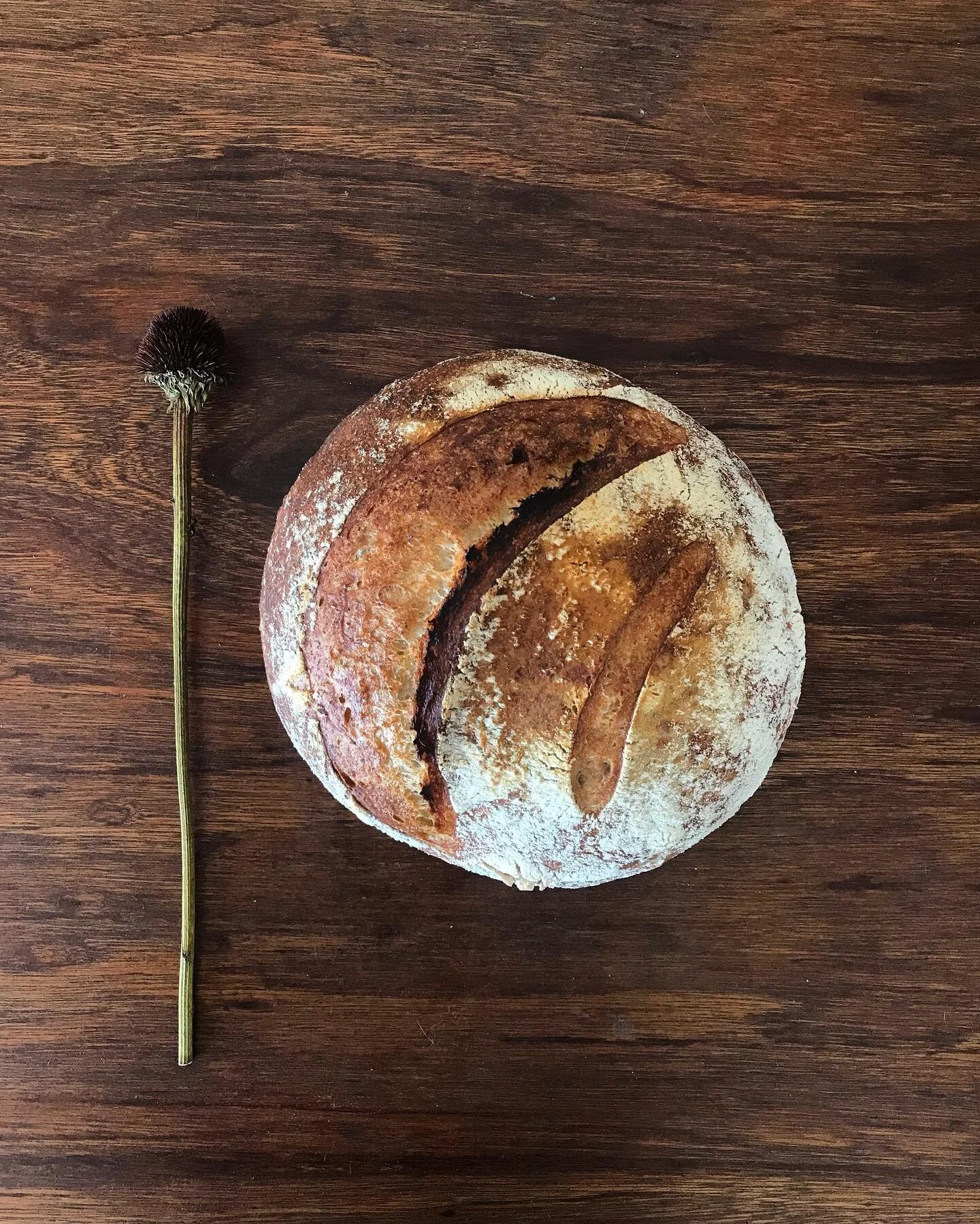 Sunday sourdough, a weekly ritual during uncertain times &mdash; and a slow, grounding process that I hope to continue beyond these strange days. There is something so reassuring about marking time through the measuring, mixing, folding, stretching, 