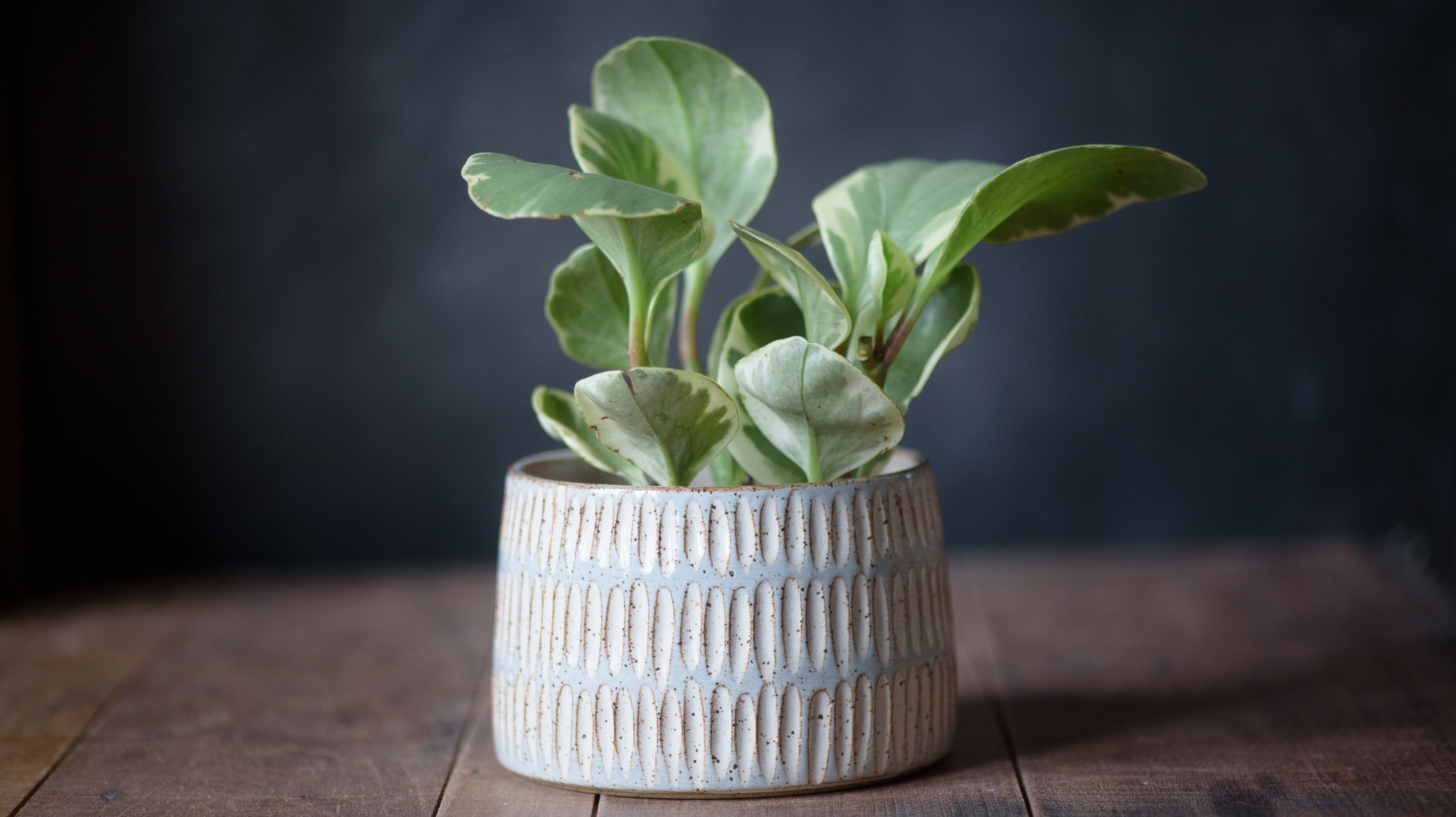 Hand Carved Stoneware Planter