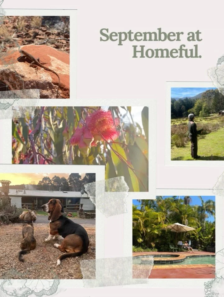 Is it too late to reflect on September, 8 days into October? No way - with honeymoons, desert escapes, Homeful approvals, Tassie site visits + spring gardening leading us through the equinox month, it was too good to miss.

September moments include: