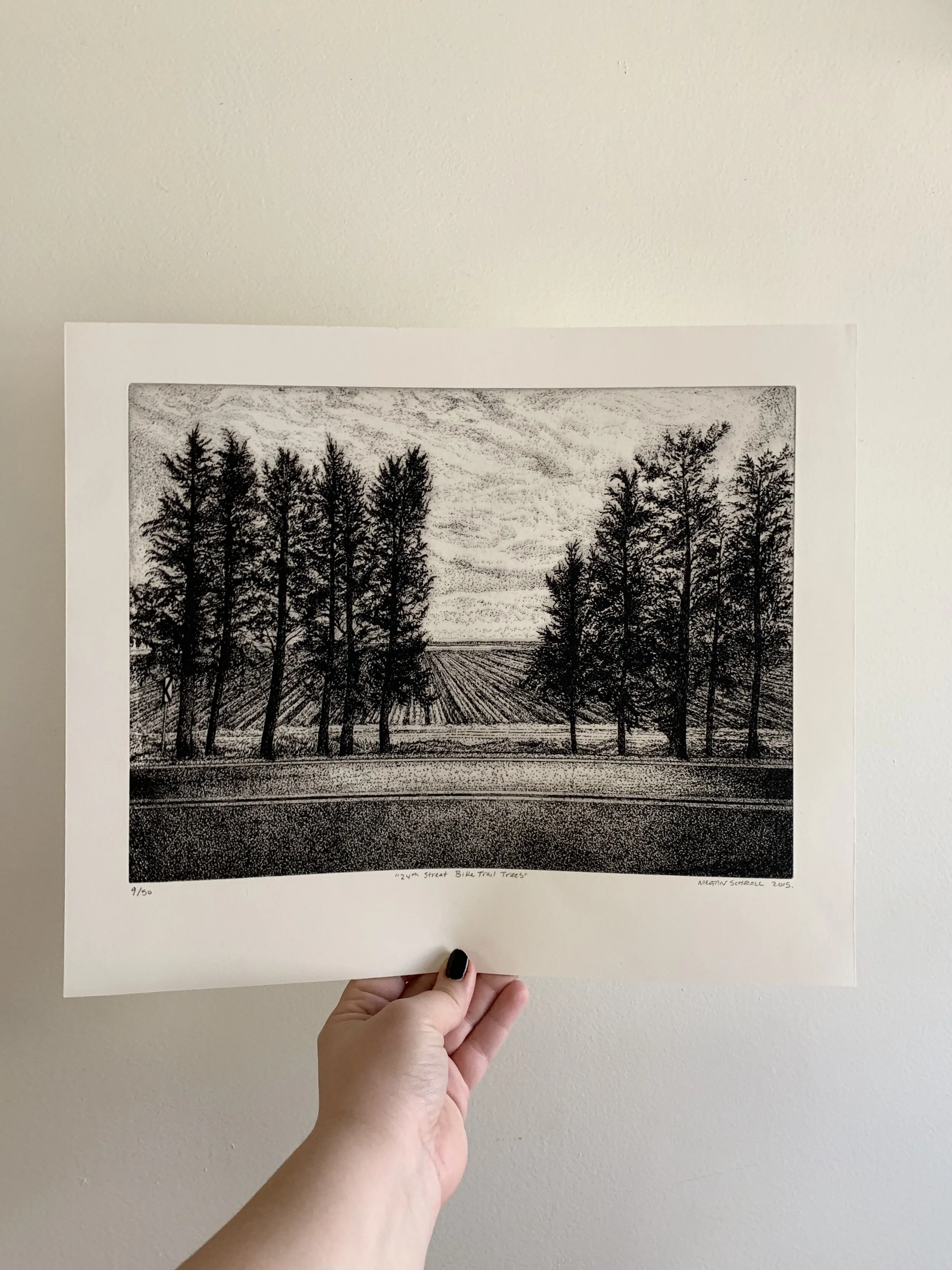 24th Street Bike Trail Trees