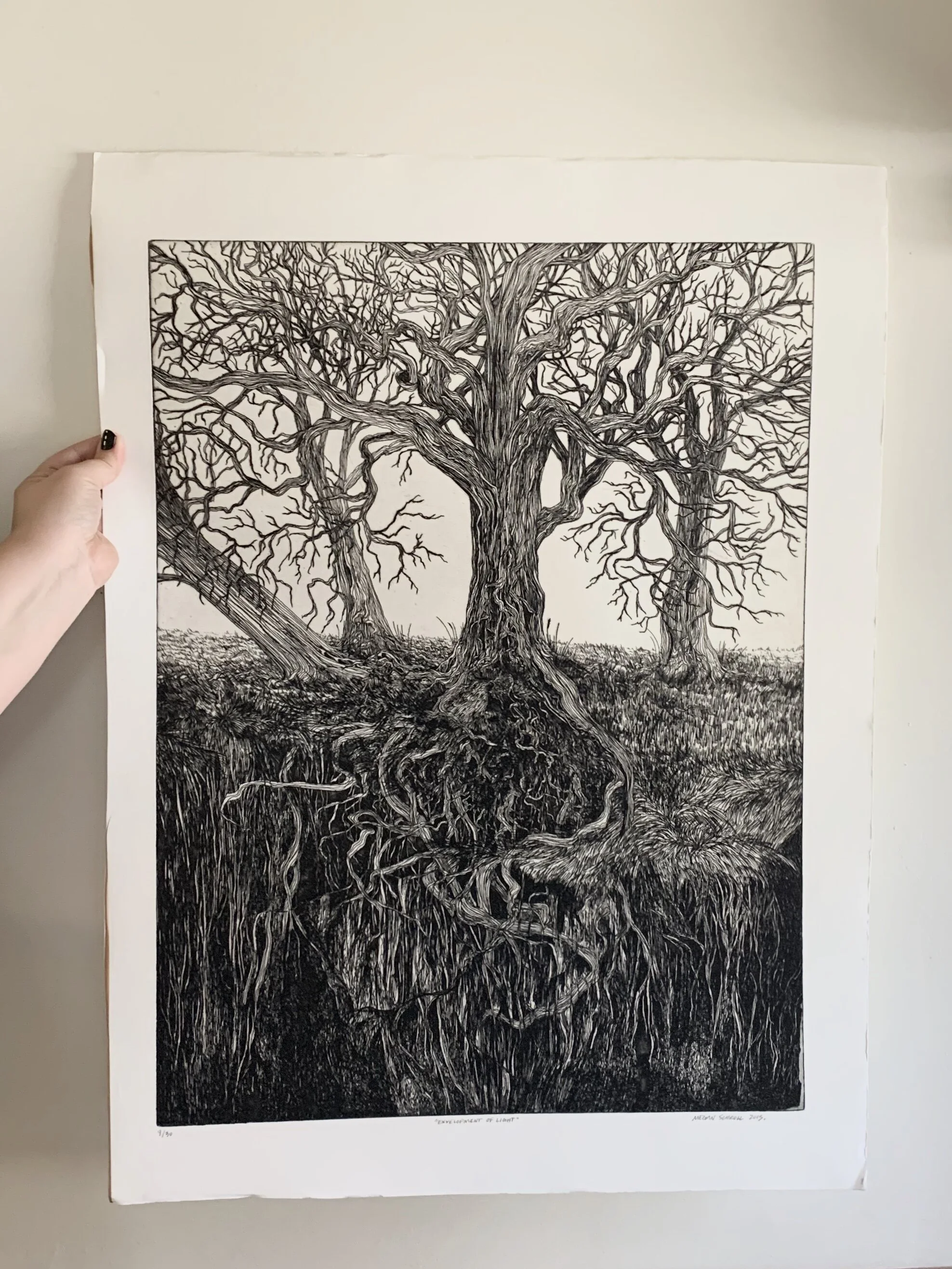 Envelopment of Light