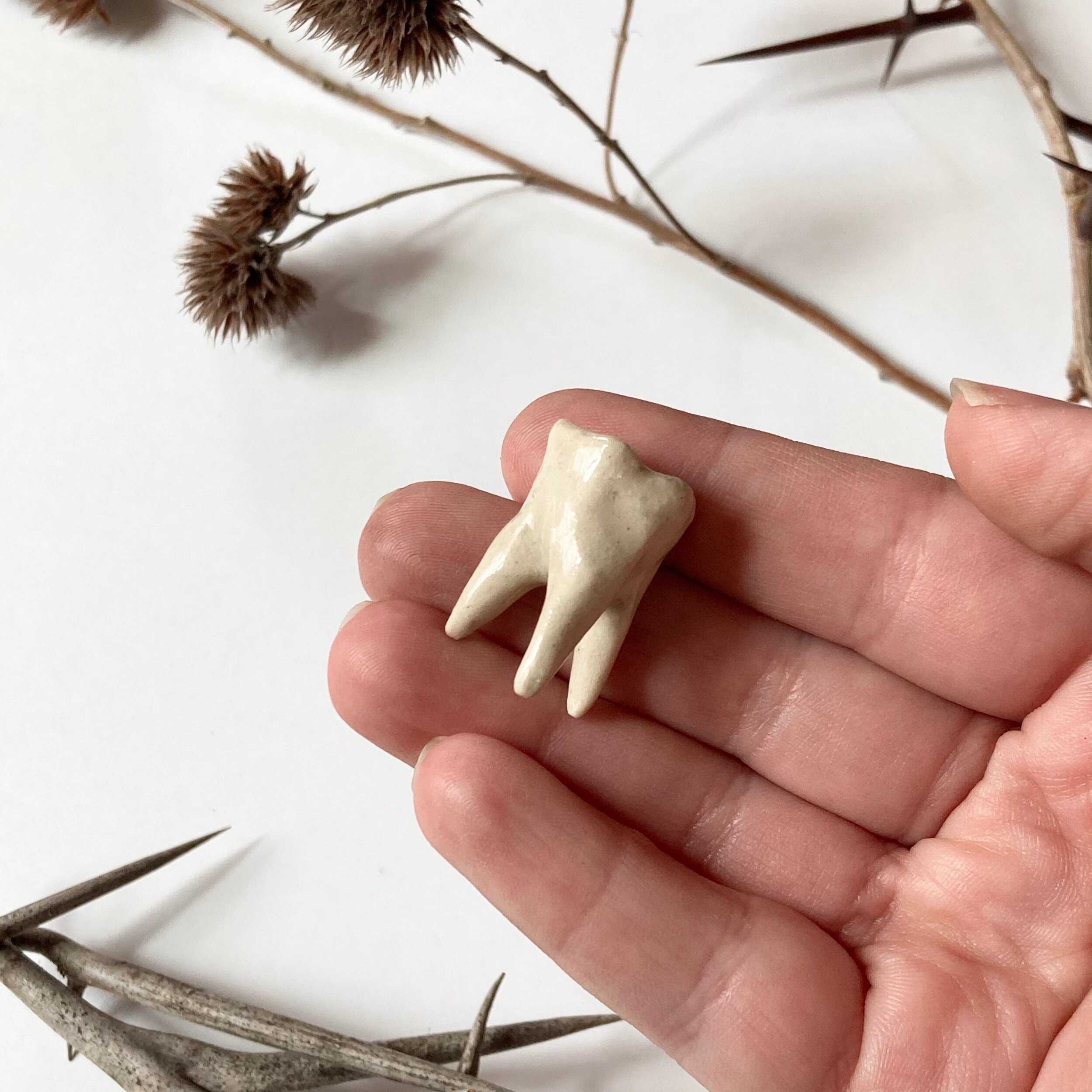 02356691-4CF2-4BE9-AAC7-E3EF60CF4798