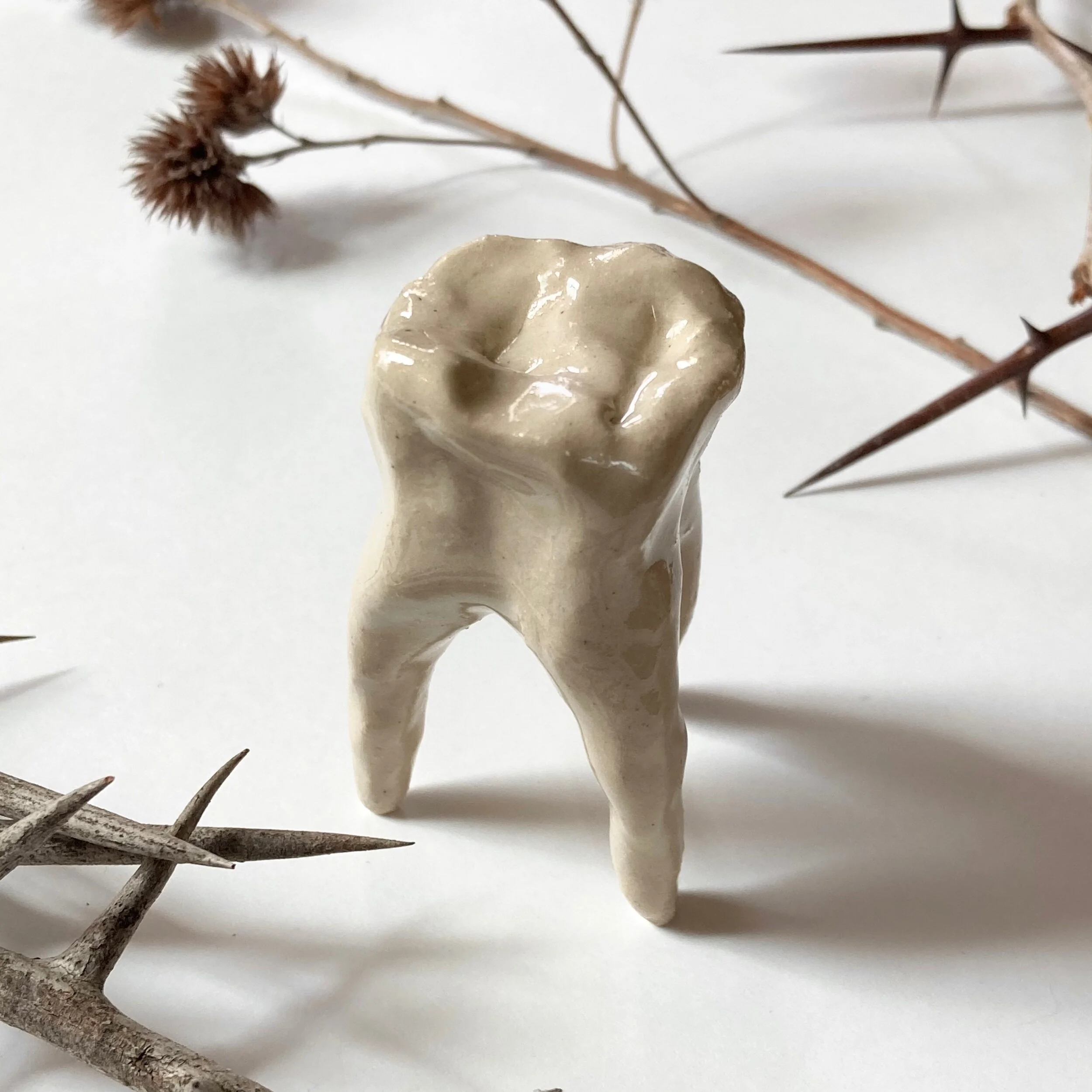 8D46DE27-3E89-4EBD-9838-4B94F1D725B6