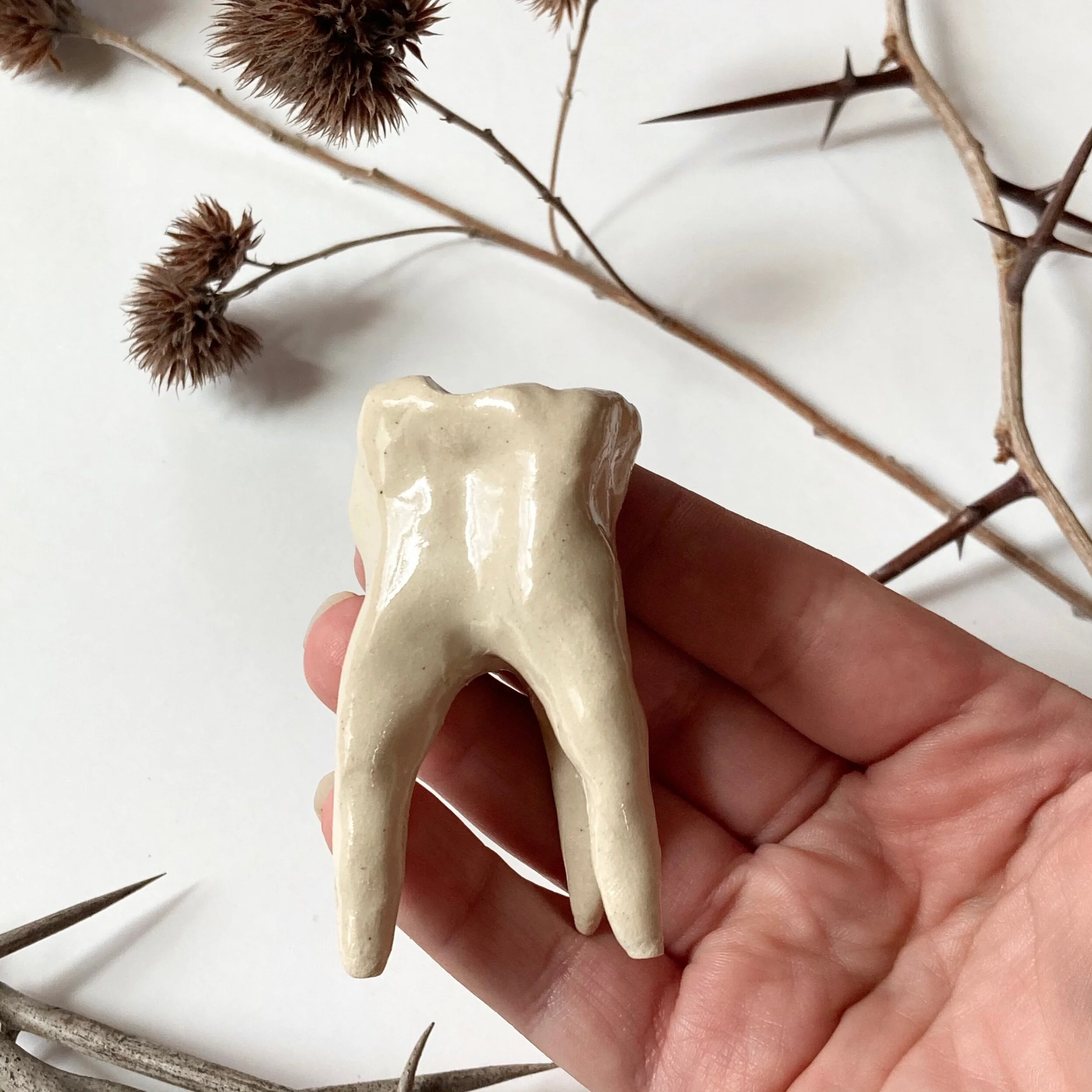 78A5DBF2-0A4B-4242-8CE5-9E6DEE03CCBC