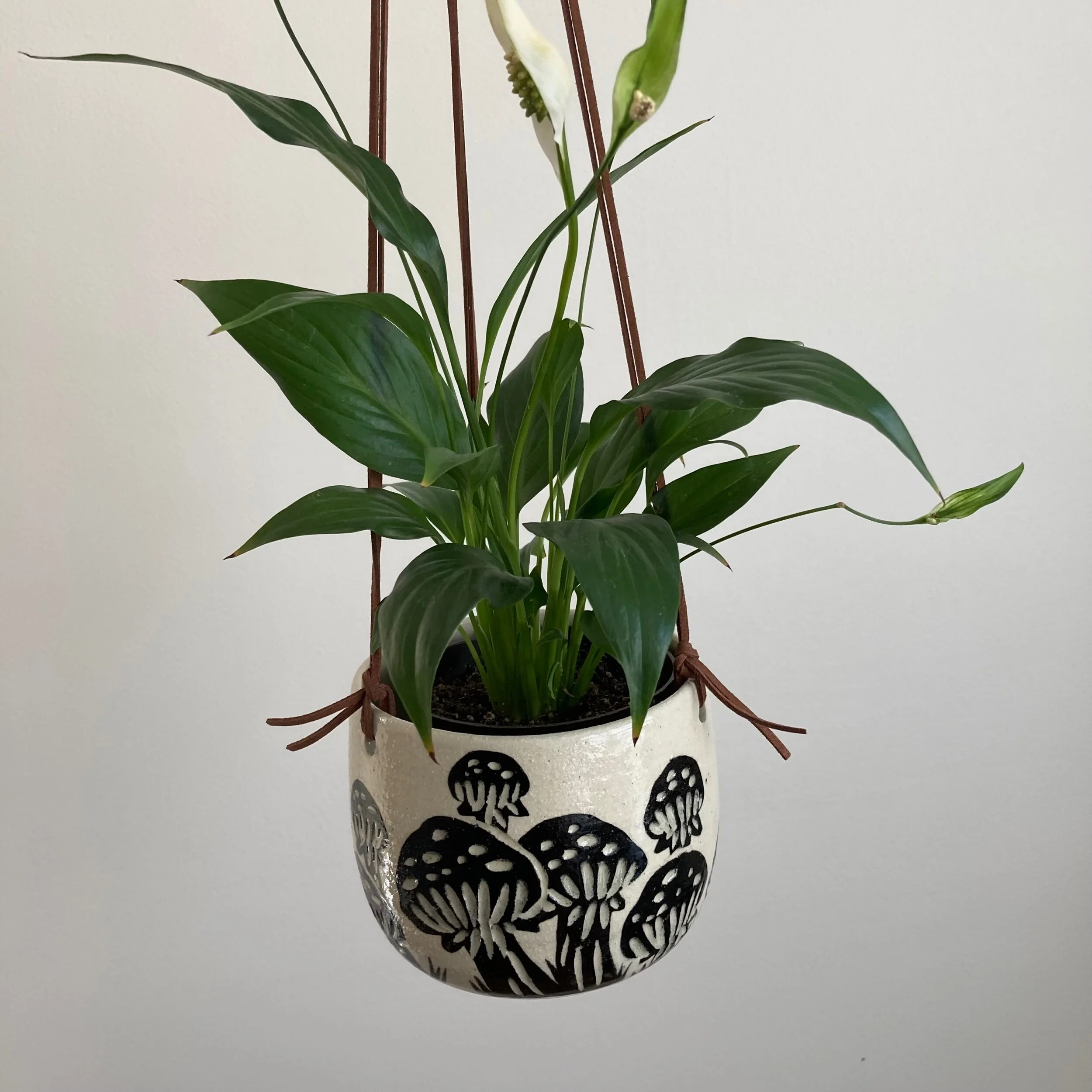 C2218230-C660-4970-9190-438230A80183