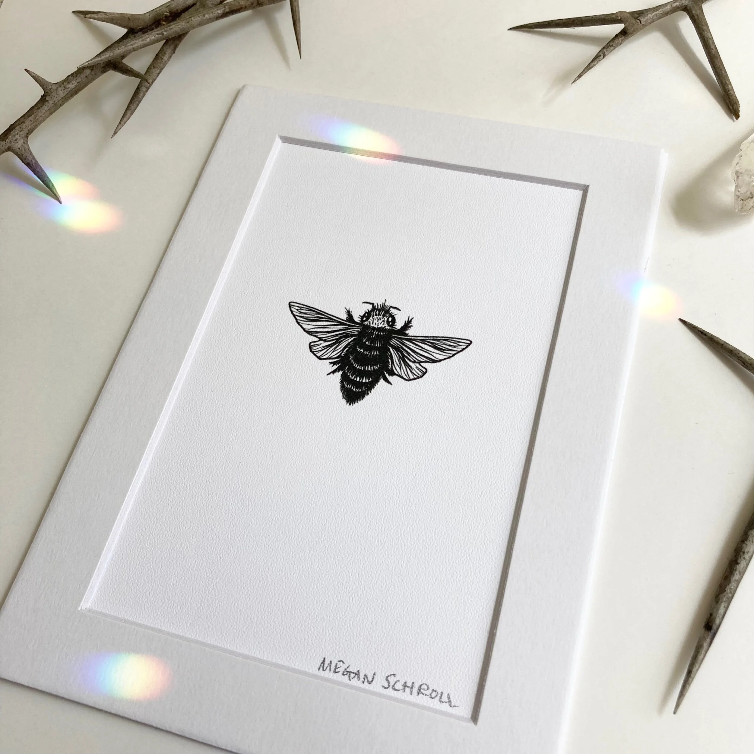 E3764EED-D0E1-423F-8532-989AA613F532