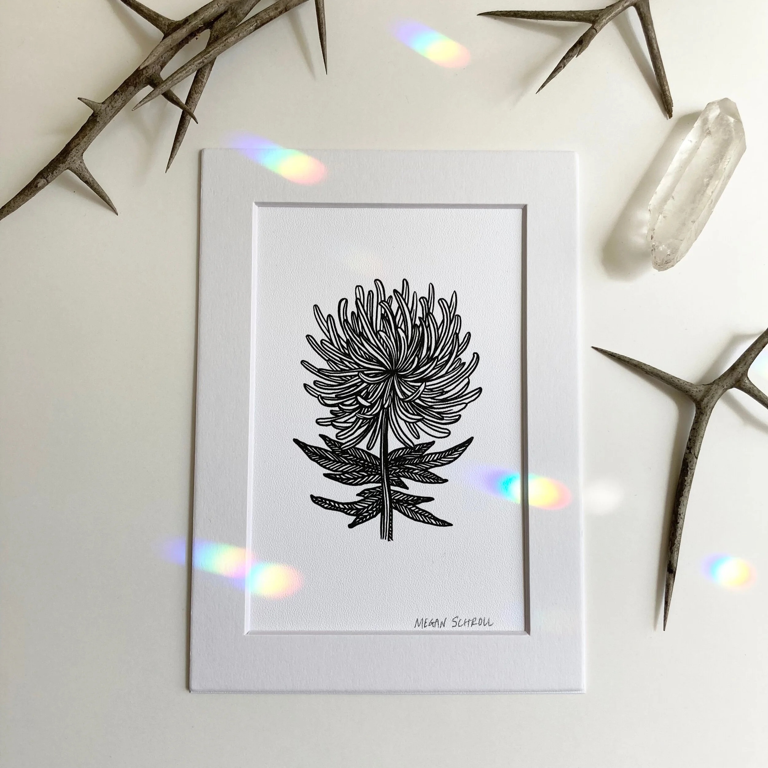 5DF15273-EC32-41D9-83E5-56B7850546B2