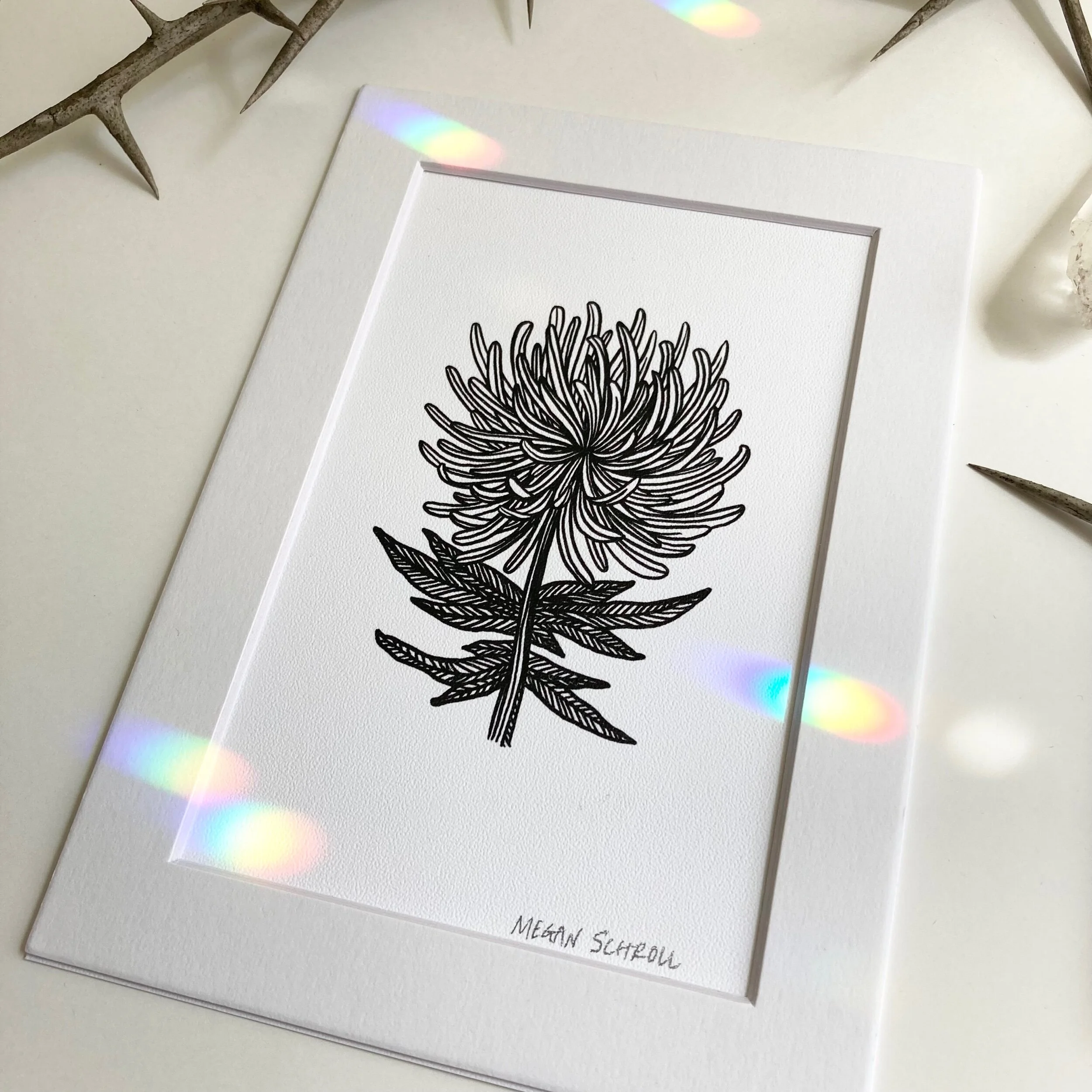 BEB81DCE-3F1F-47EC-8AAB-4D6950FA4A71