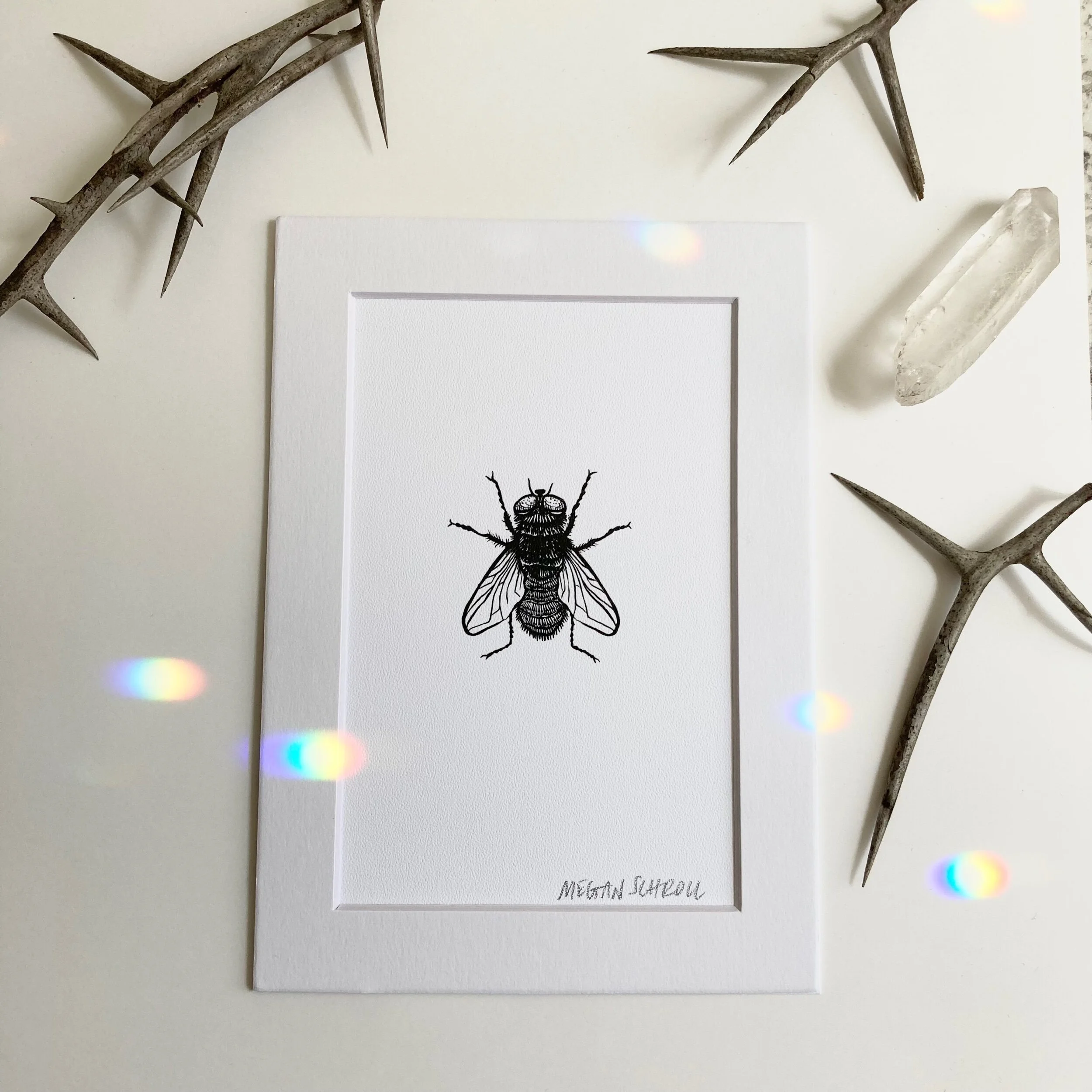 3ECEA188-55EA-441E-A924-B3EBA372CC65