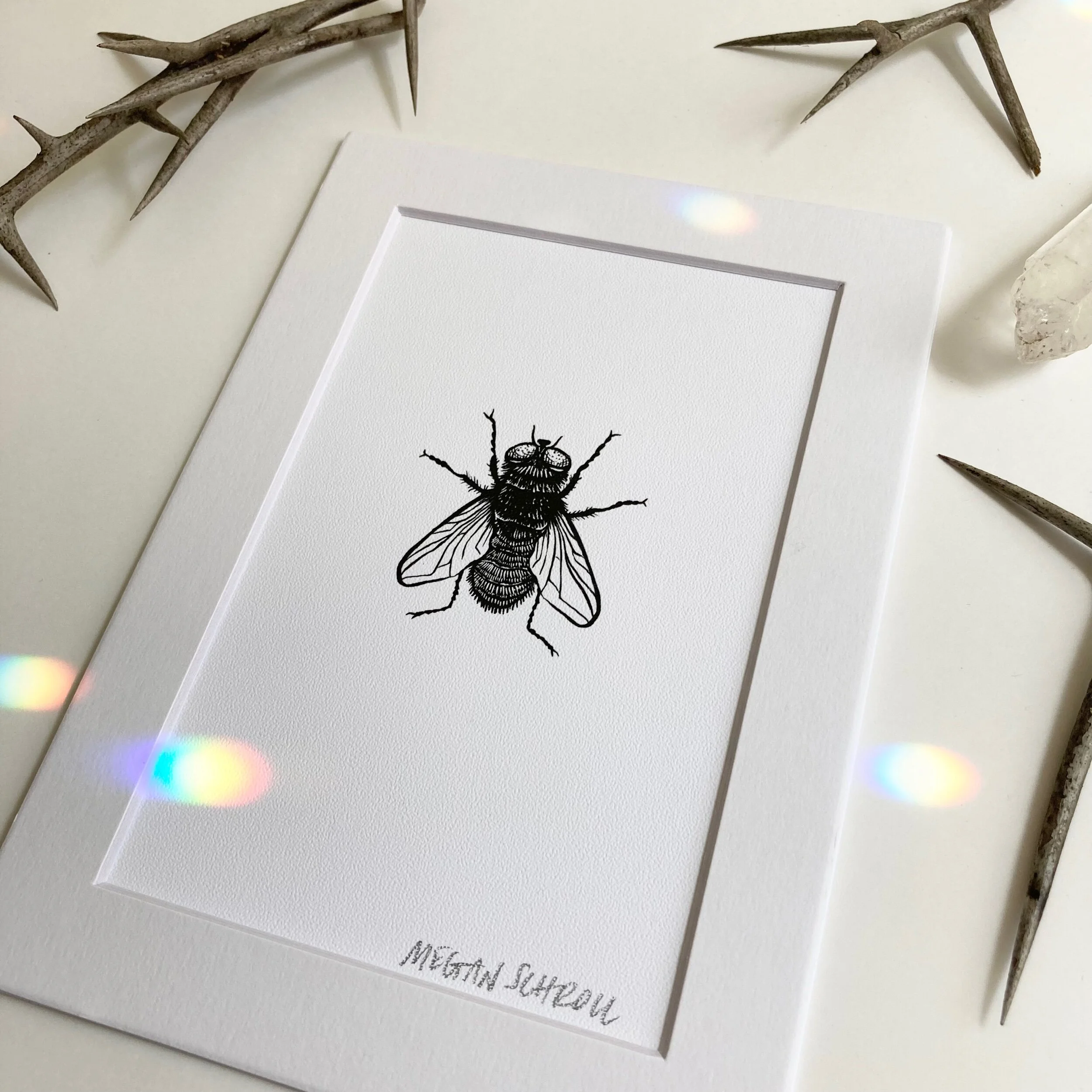 E61D52CC-B2EE-4562-86D9-30AE373E2407