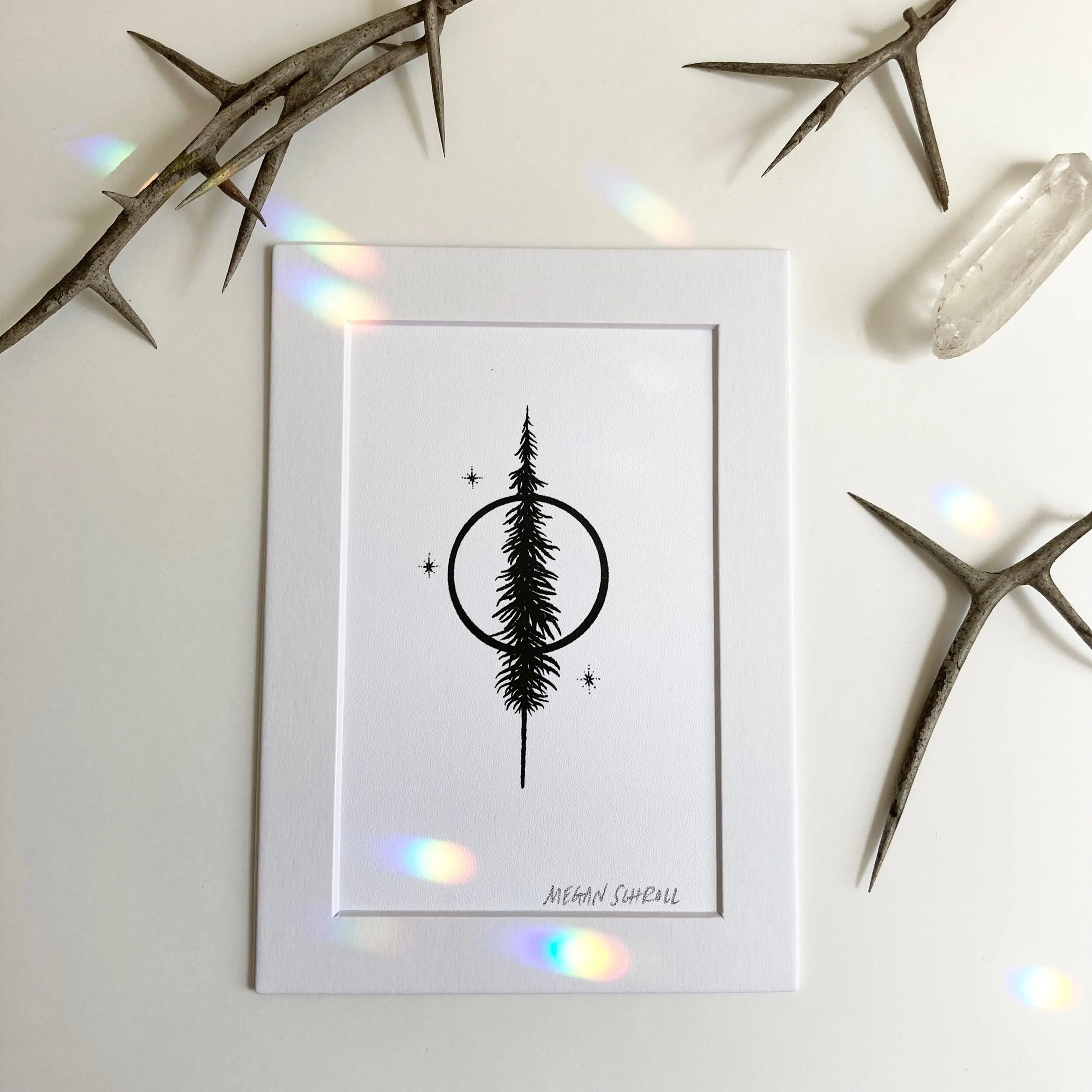 4B12EF11-19FD-498F-B3B5-852DDDCD4301