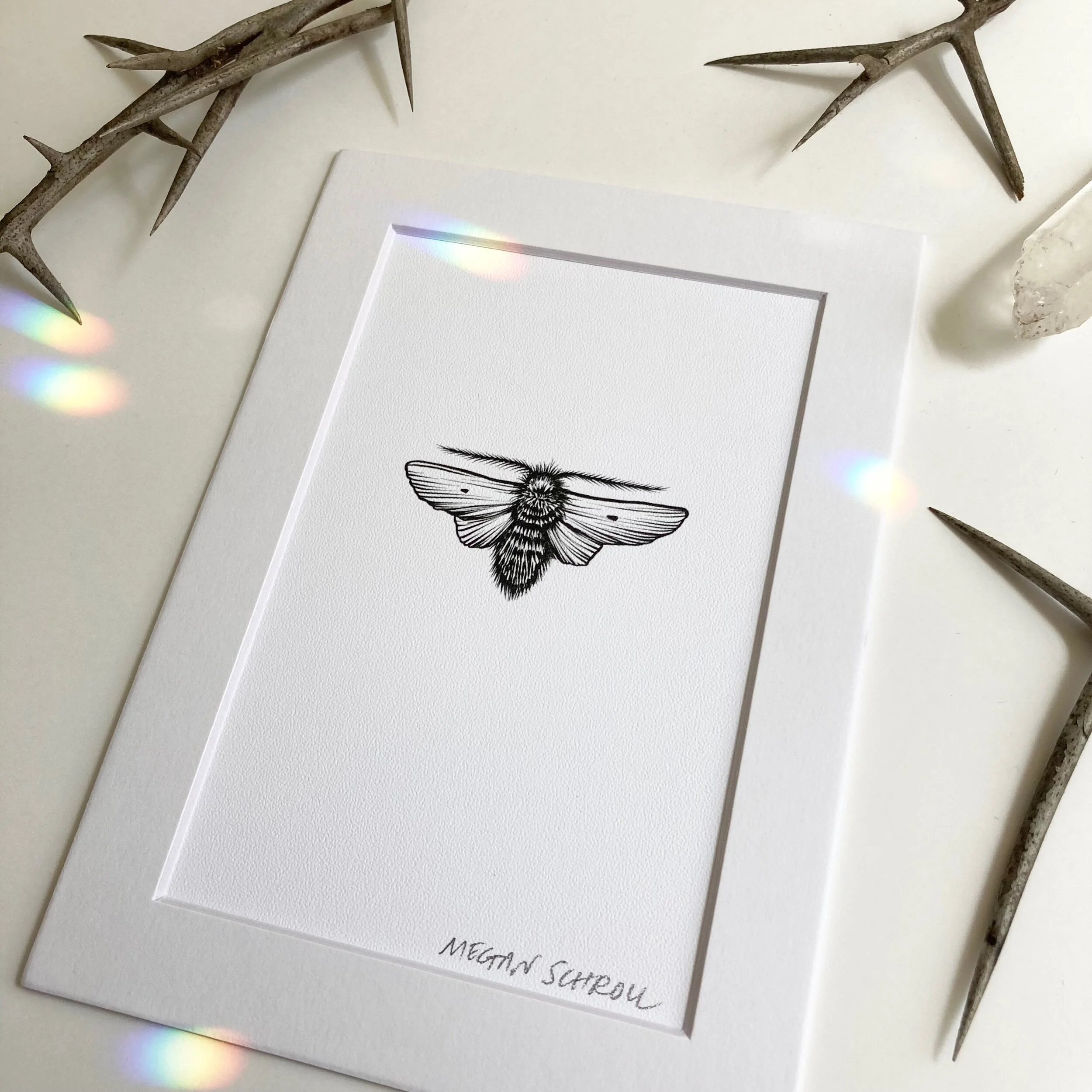 0A5B9259-788F-4AEF-BCE9-6AA6B0745459