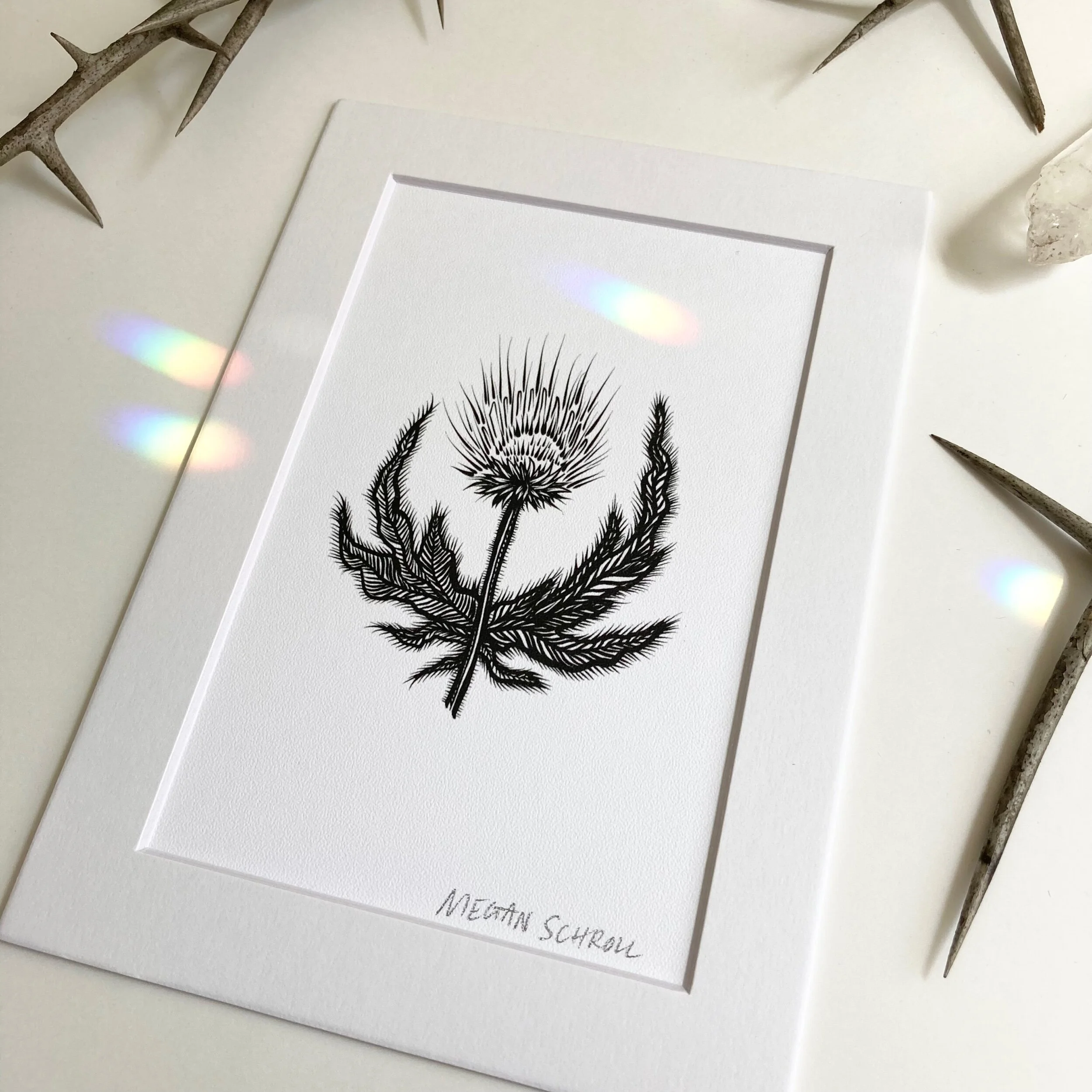 E36700BD-0652-45A6-A414-3673856300ED