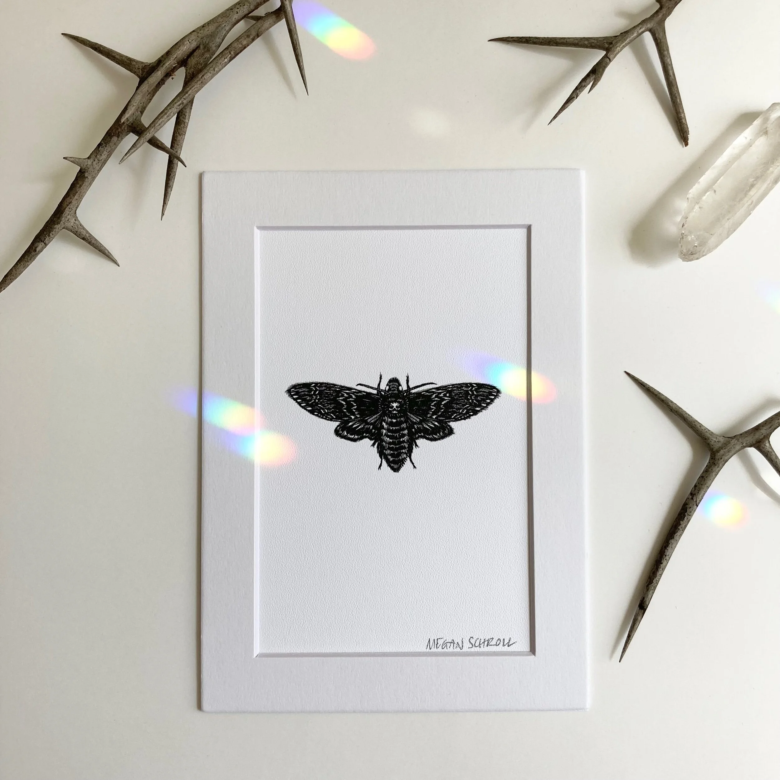 9BFA1903-548E-4263-827F-A61B8E6A52EE