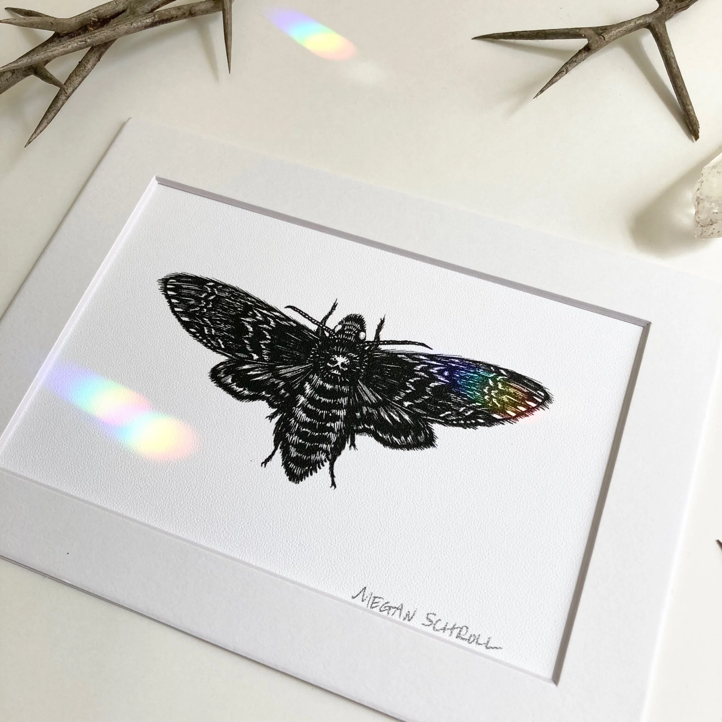 14FAF39E-672B-4018-A477-20F72DF726EF