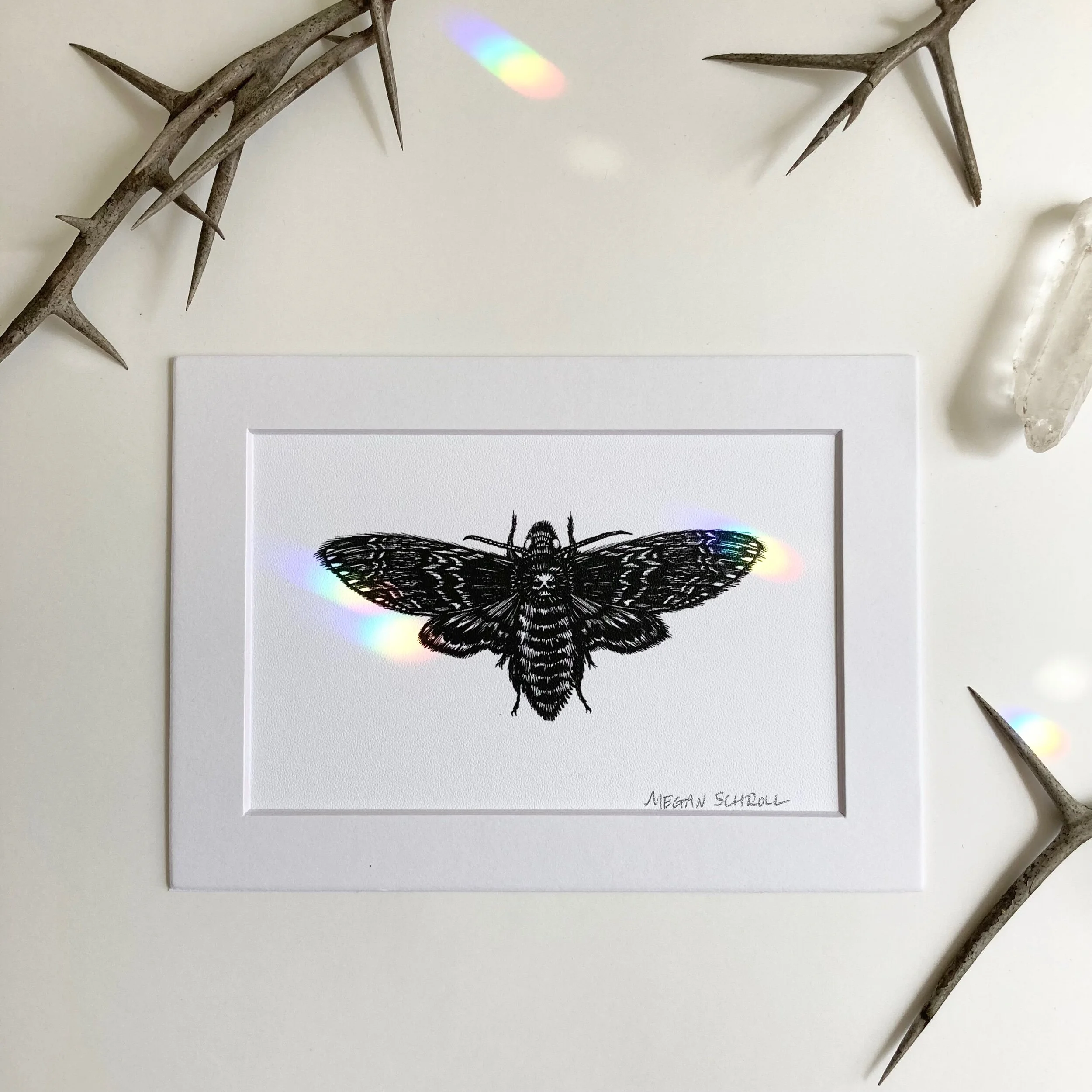 11EF008F-10C6-490D-9719-97C20B7C68B9