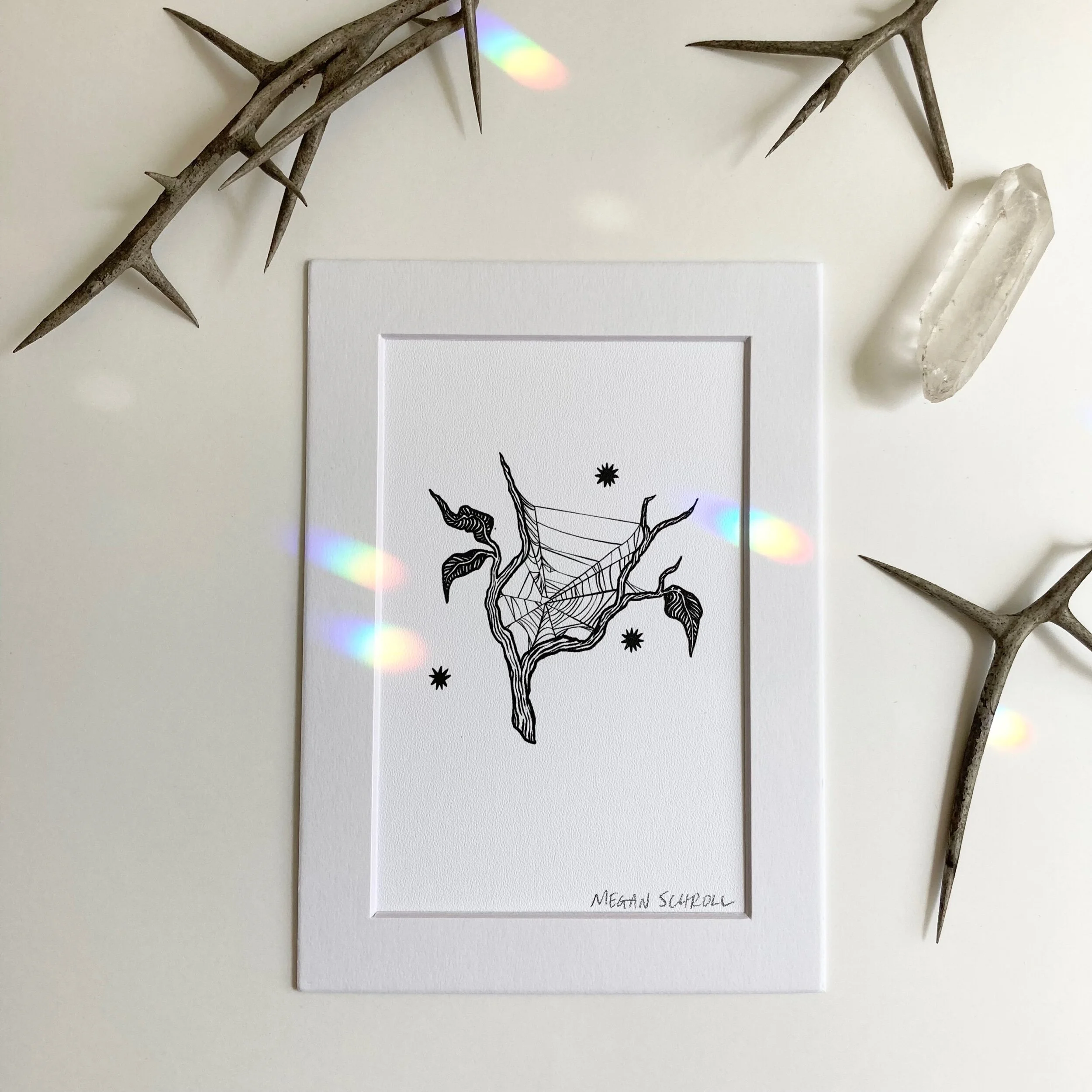 E5F07D07-8F16-40CE-9ED8-27FE0BF3AE77