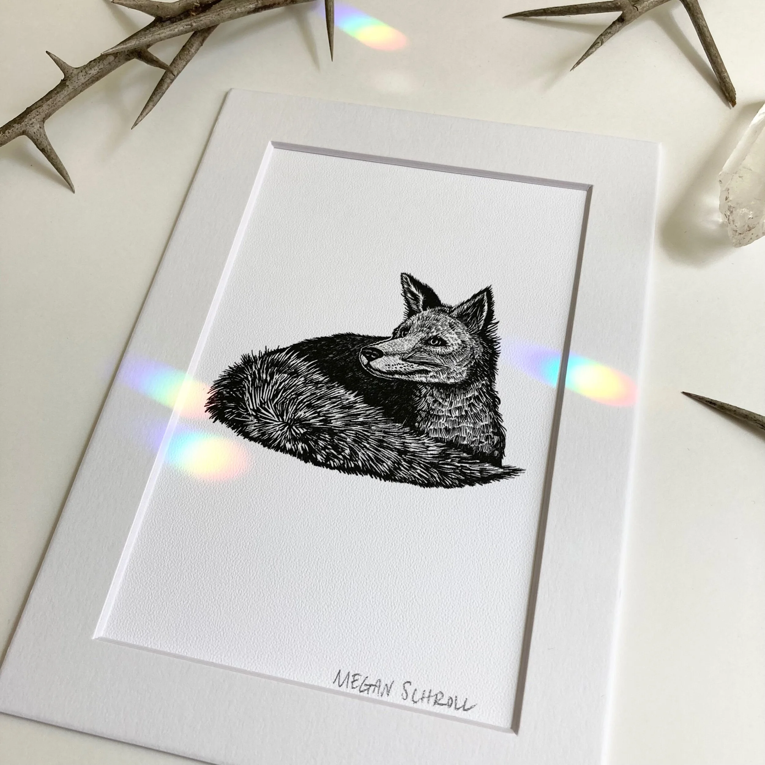 902278B6-FFEF-47EF-8C94-8A60599FC611