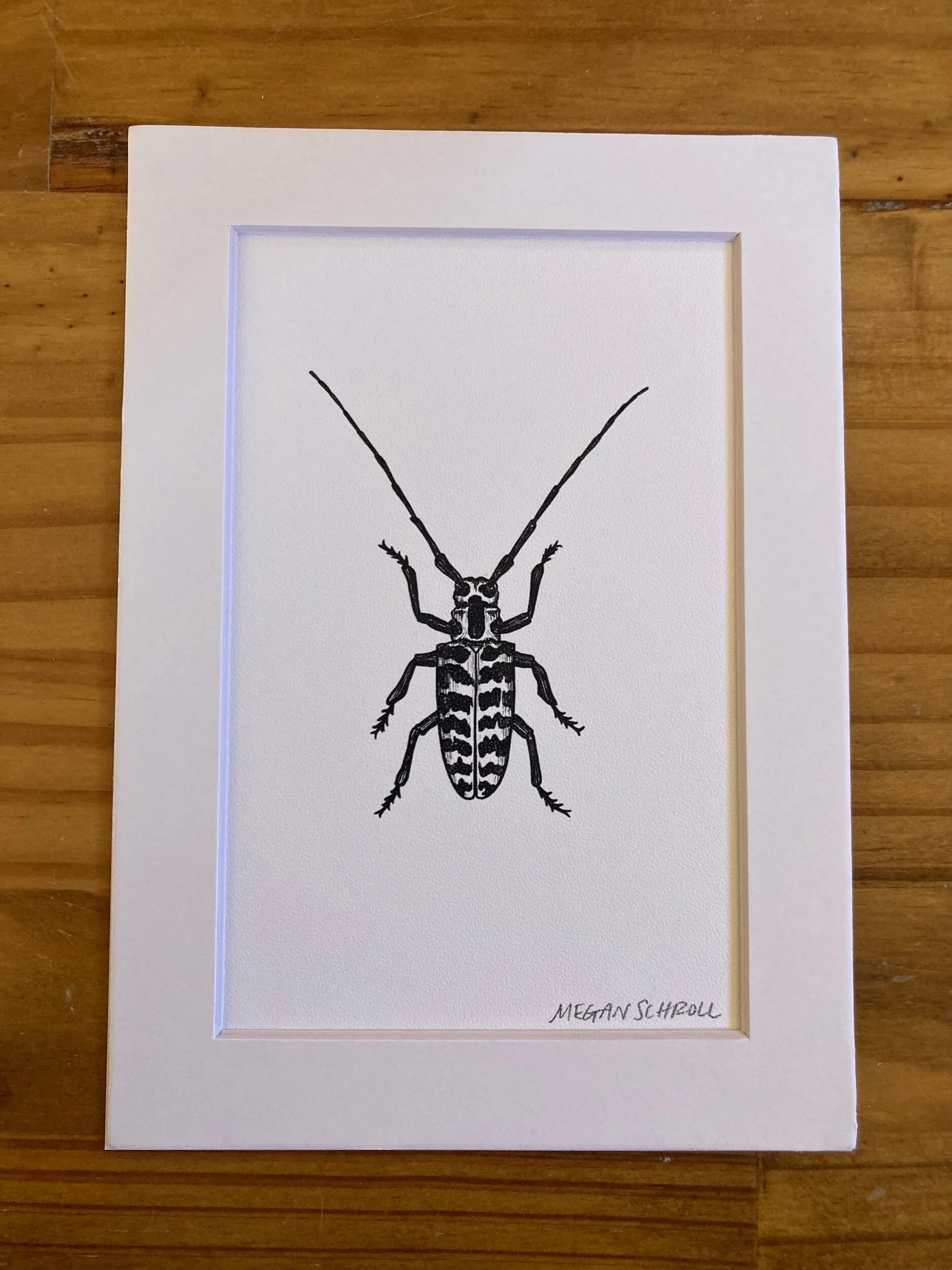 1BEC5009-307C-4237-AE6A-7002DA7F2D18