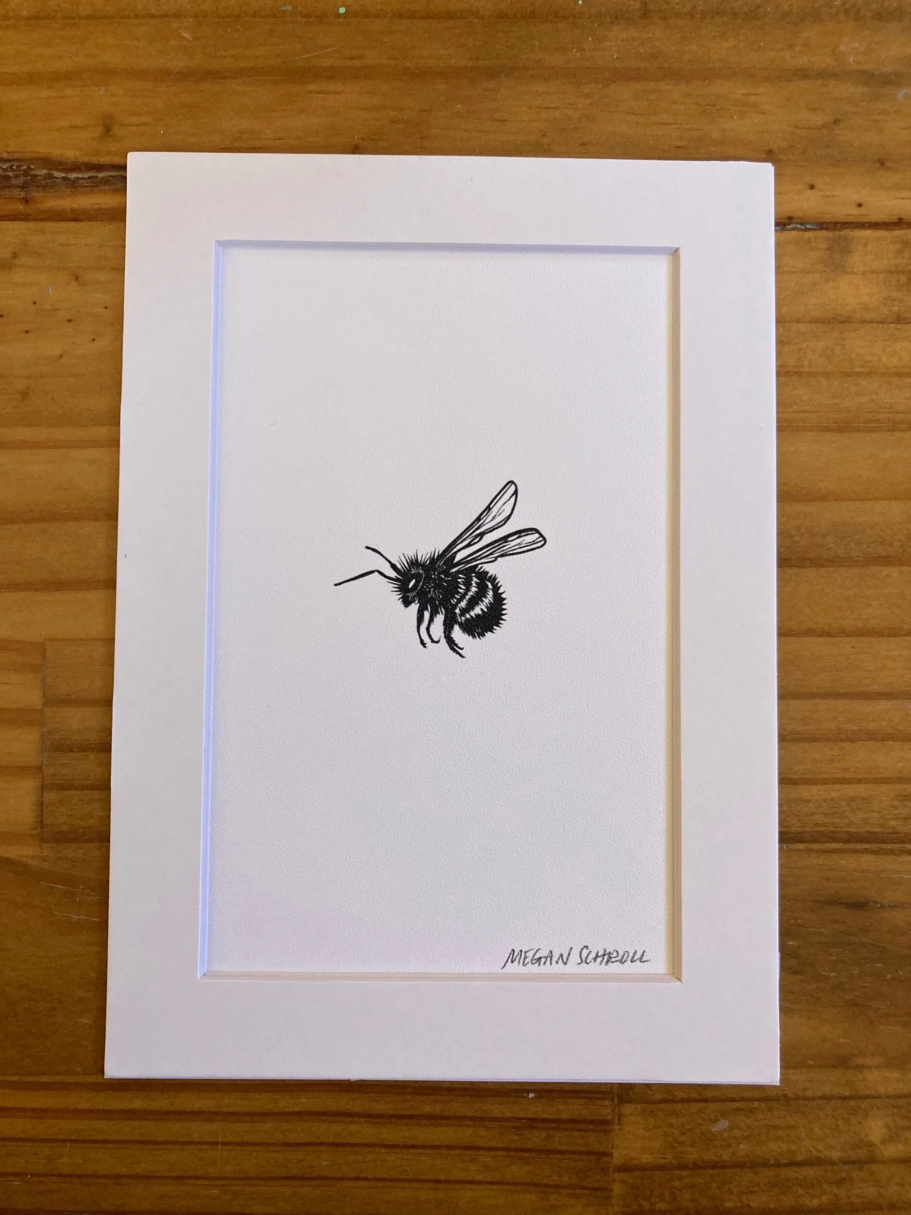 2EED093E-7862-4F2A-BD51-3C607FB3F4A2