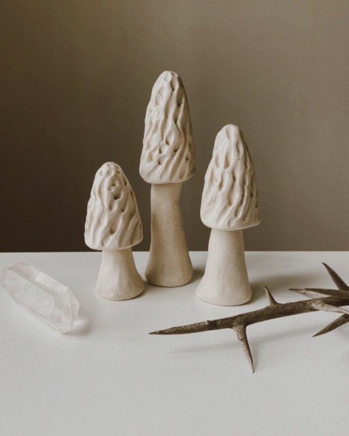 AD8C0A37-E132-43C8-B974-17E7ED6A3405