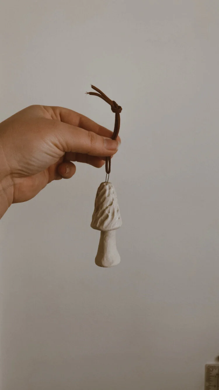 A6E2FBE4-8F45-4035-9CB3-E7978119C9FC