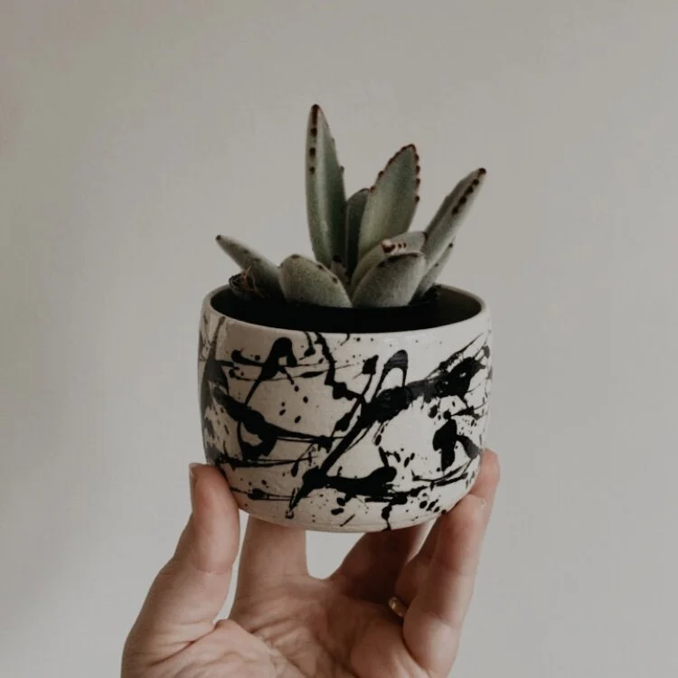 315B9E79-E76F-4F17-B6DE-3C5616B5635D