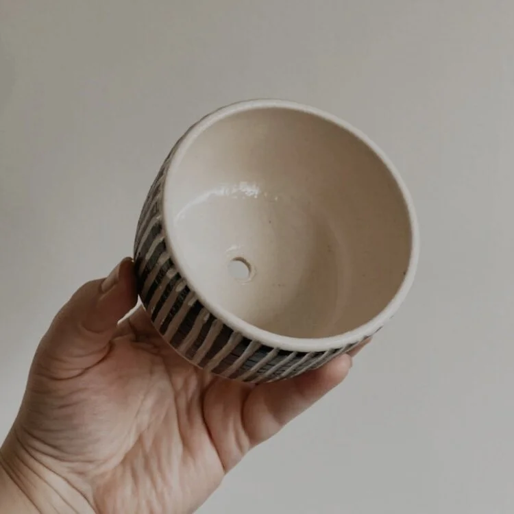 1A2FA8CC-930B-4655-BF99-C7BBC43BAE3E